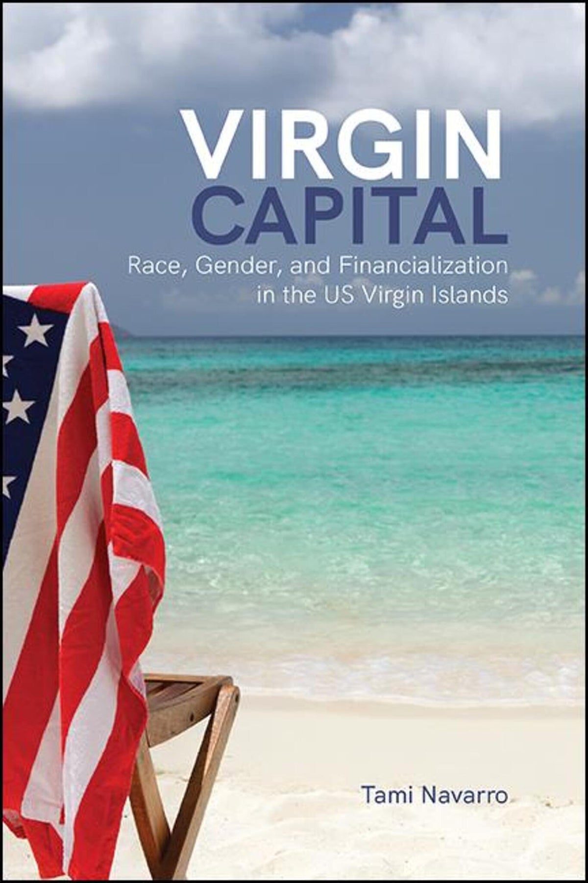 Cover image for Virgin Capital ISBN 9781438486024