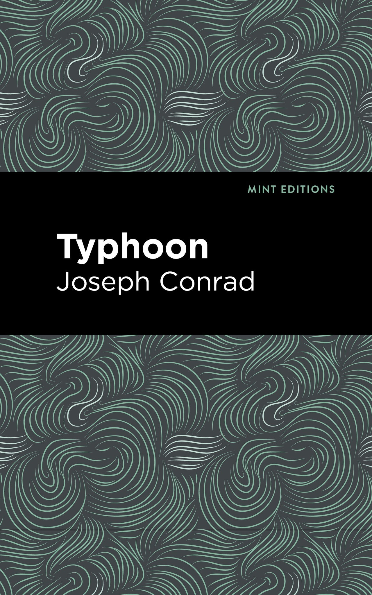 Cover image for Typhoon ISBN 9798888973424