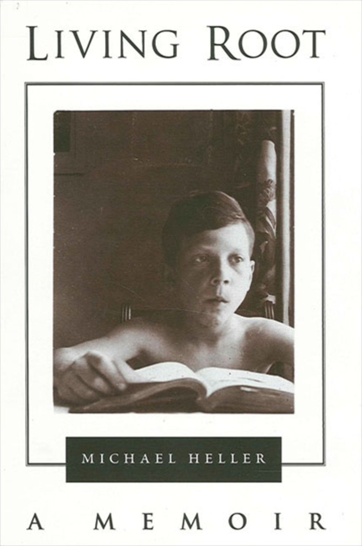 Cover image for Living Root ISBN 9780791446348