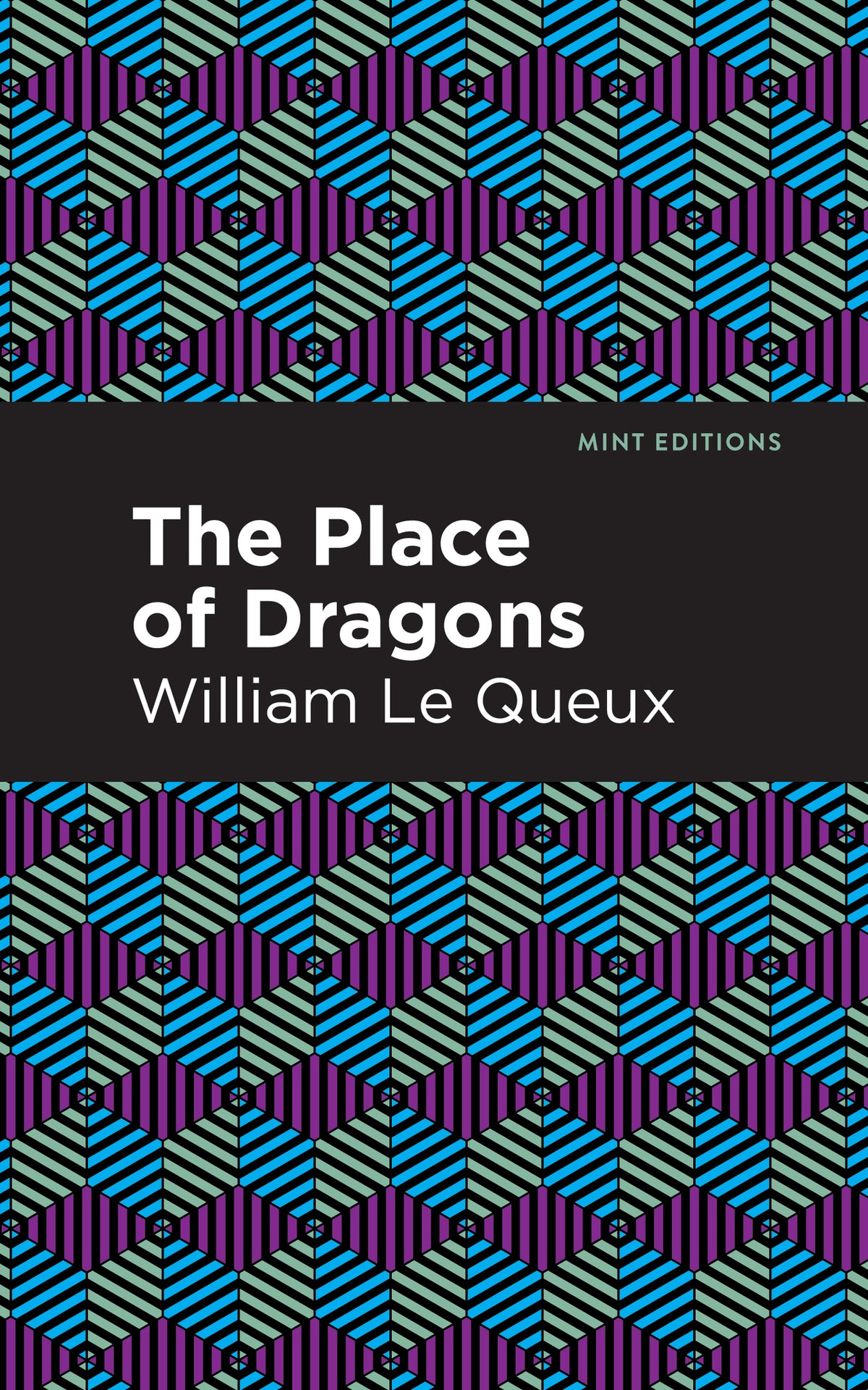 Cover image for The Place of Dragons ISBN 9781513205816