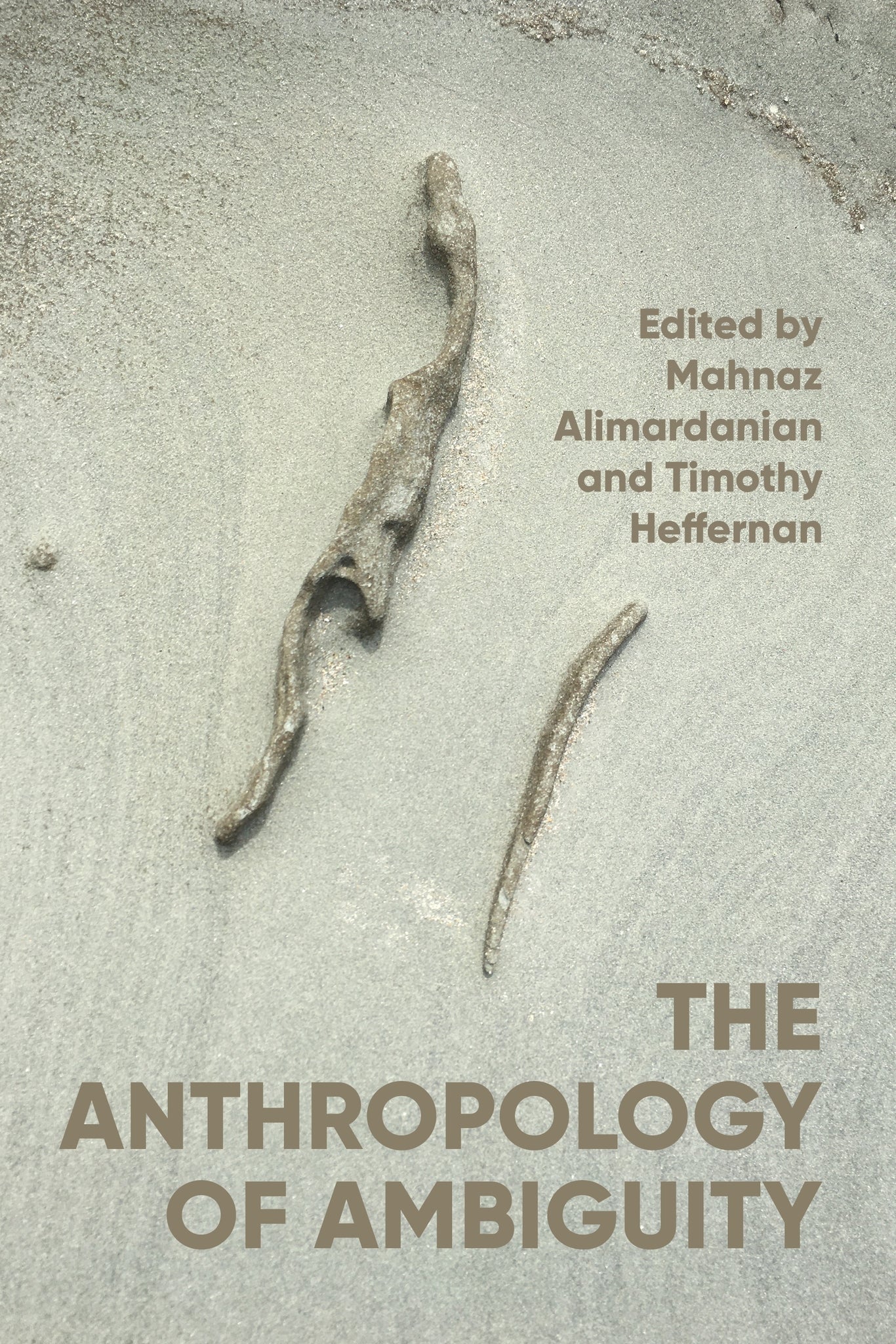 The anthropology of ambiguity