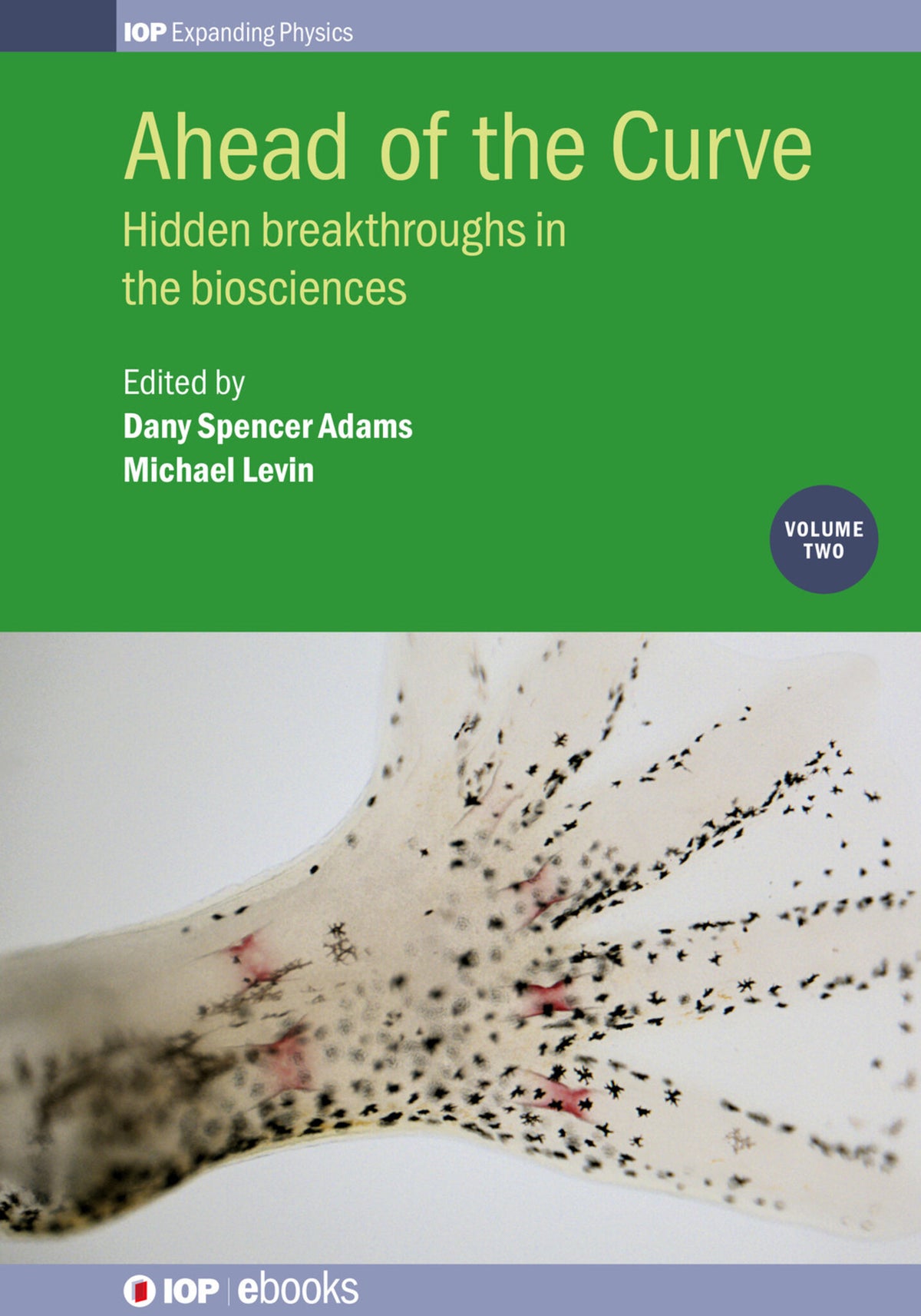 Cover image for Ahead of the Curve: Volume 2 ISBN 9780750316774