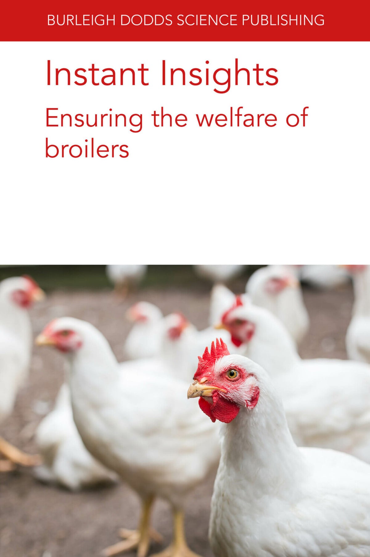 Cover image for Instant Insights: Ensuring the welfare of broilers ISBN 9781801466738