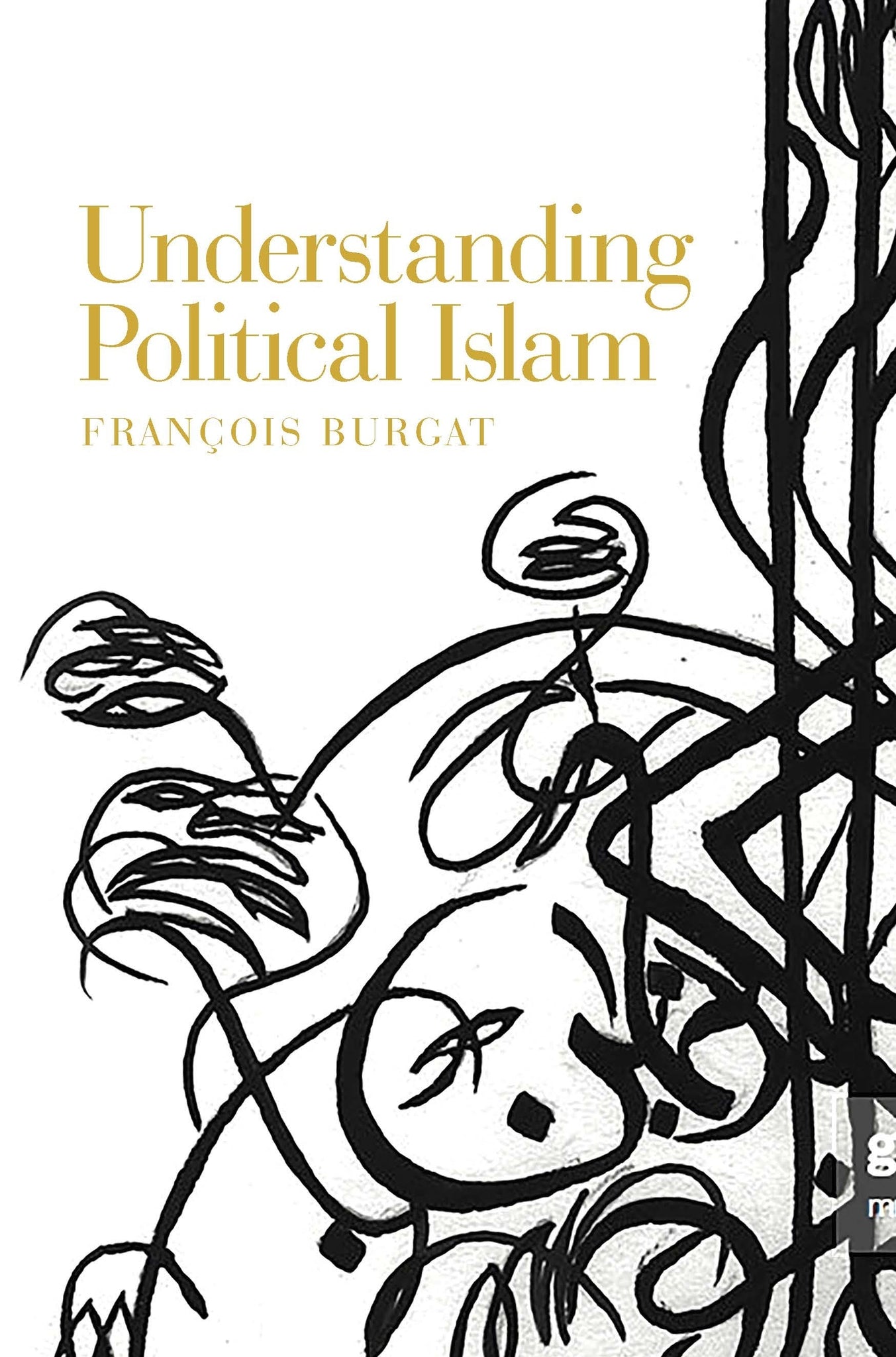 Cover image for Understanding Political Islam ISBN 9781526143457