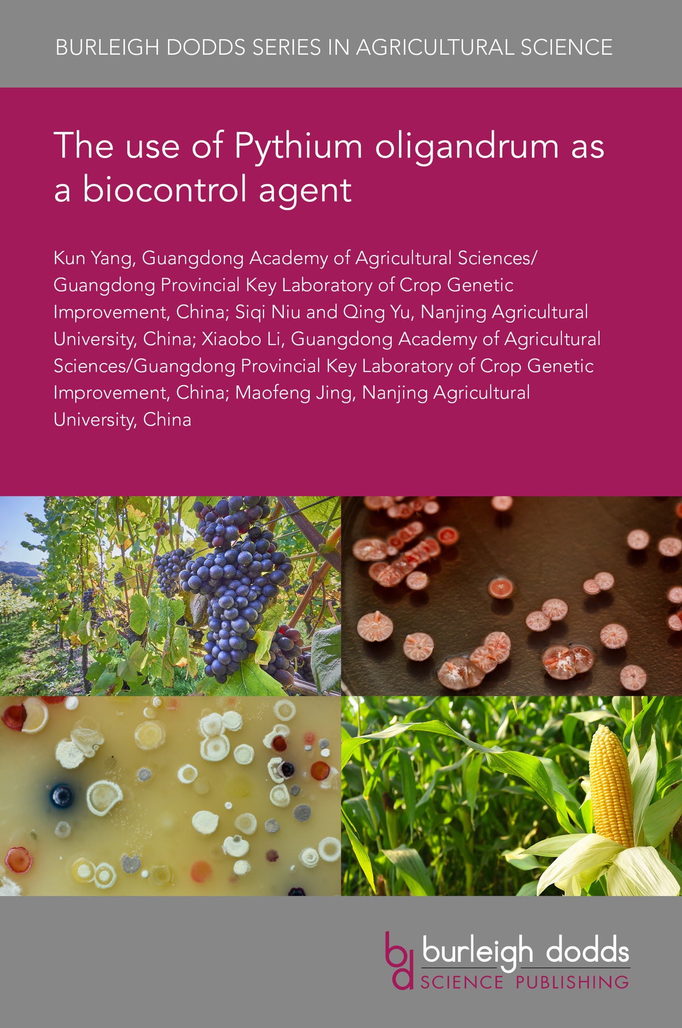 The use of Pythium oligandrum as a biocontrol agent