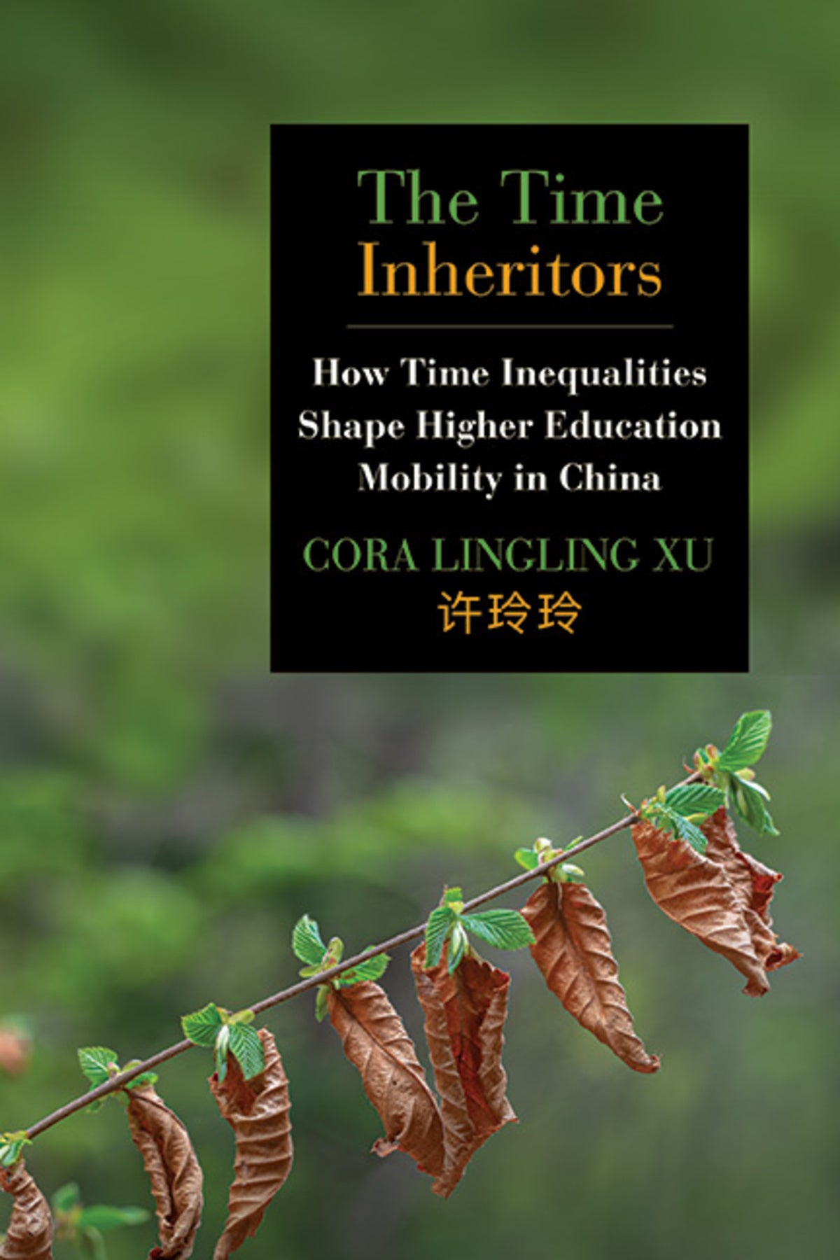 Cover image for The Time Inheritors ISBN 9798855801903