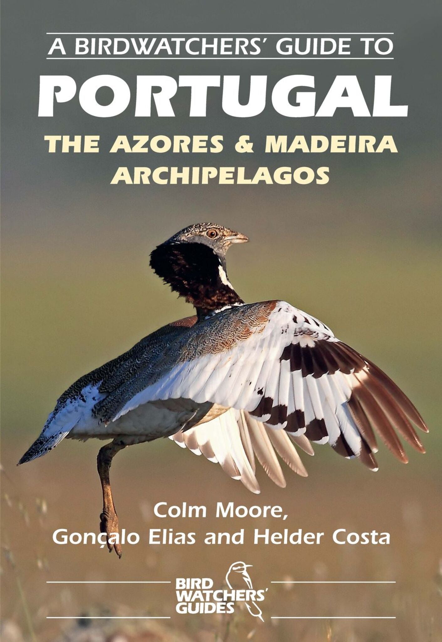 A Birdwatchers’ Guide to Portugal, the Azores & Madeira Archipelagos