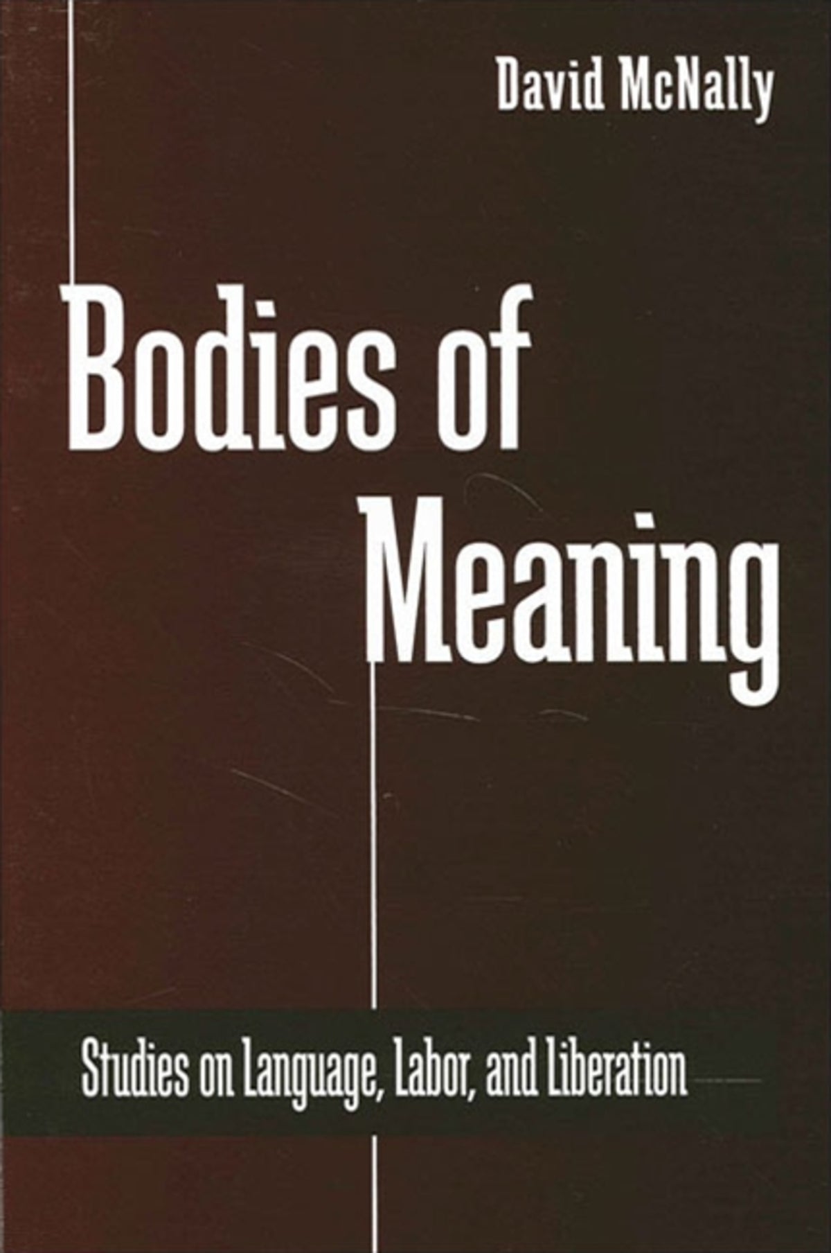 Cover image for Bodies of Meaning ISBN 9780791447352