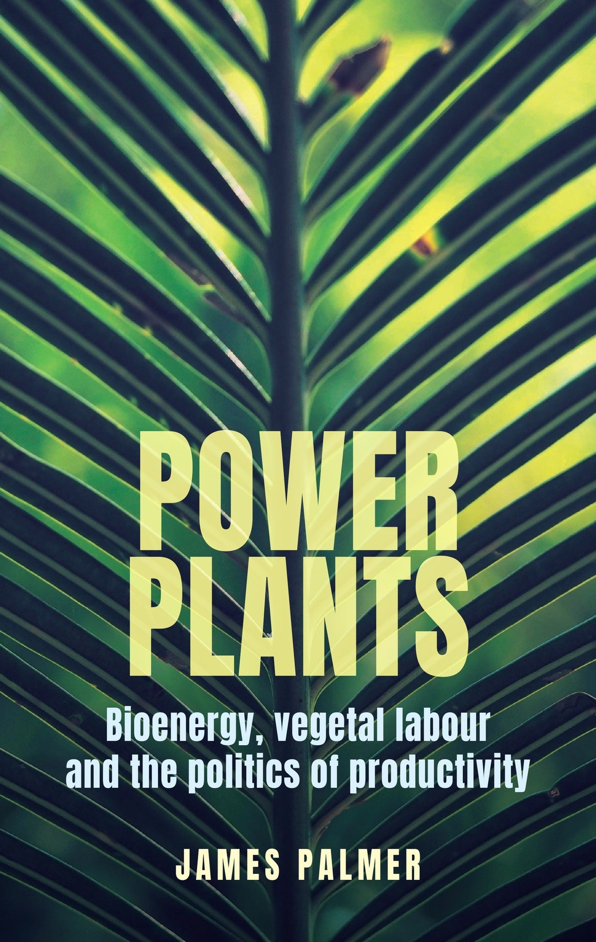 Cover image for Power plants ISBN 9781526192127