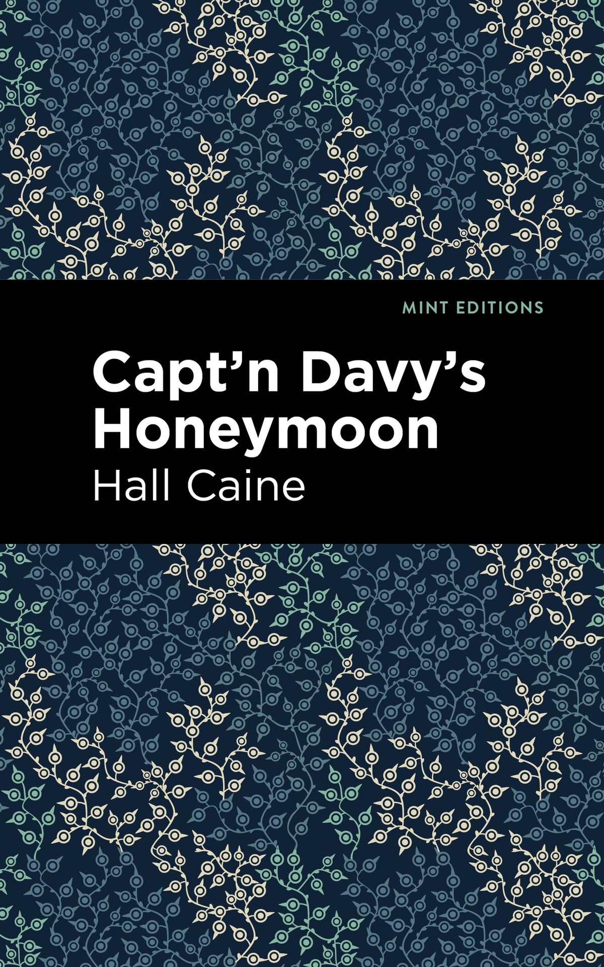 Cover image for Capt'n Davy's Honeymoon ISBN 9781513267647