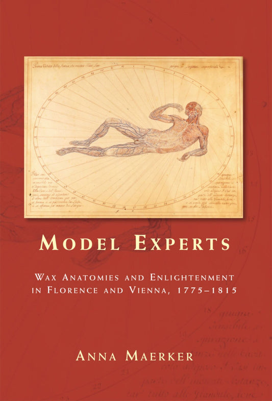 Model experts