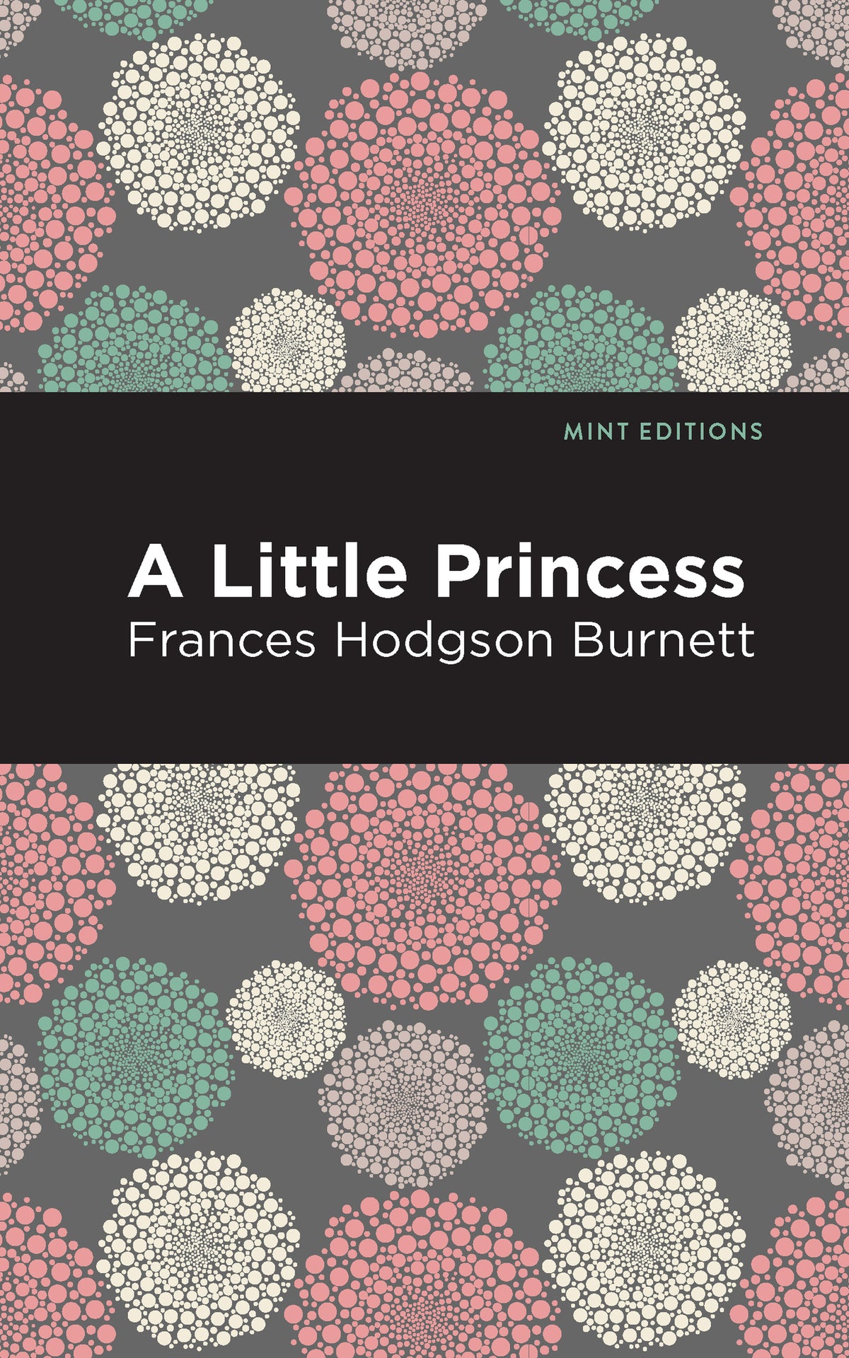 Cover image for A Little Princess ISBN 9781513219868