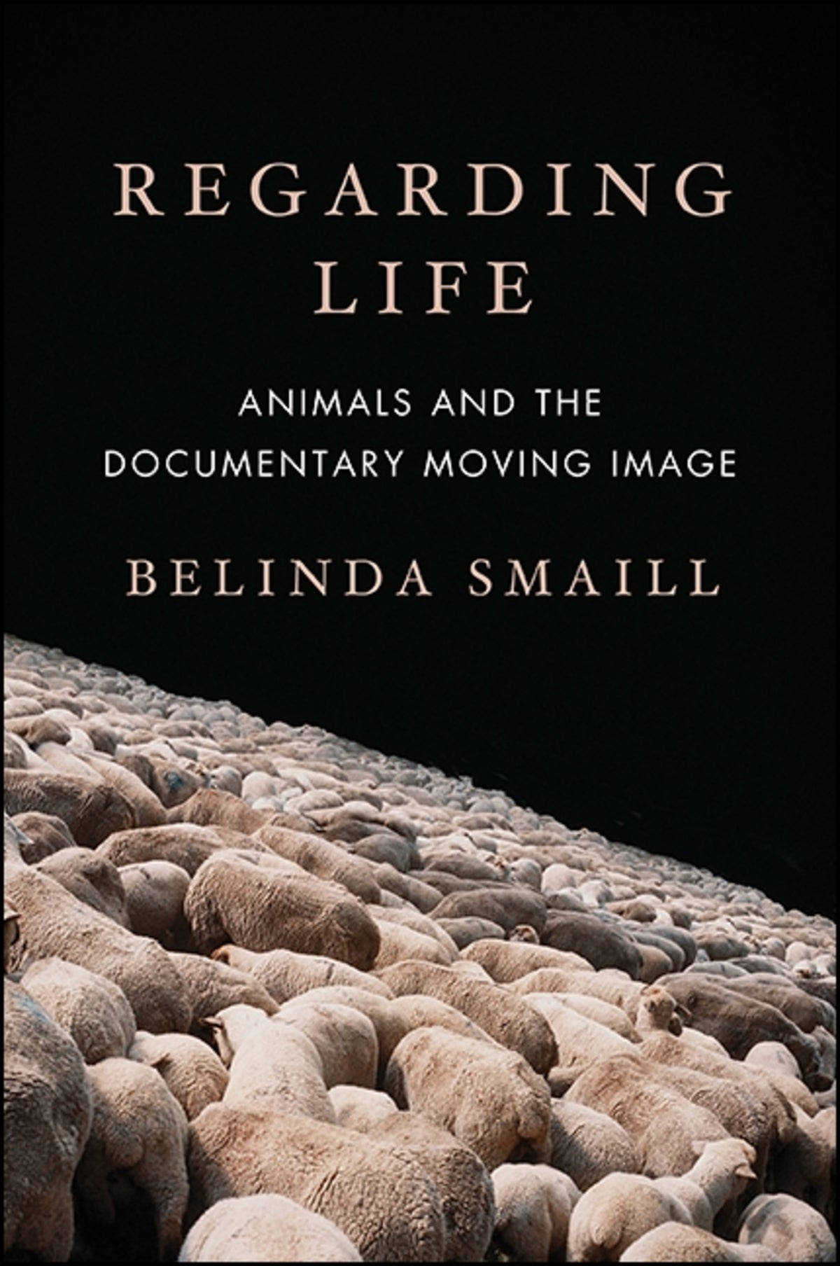 Cover image for Regarding Life ISBN 9781438462493
