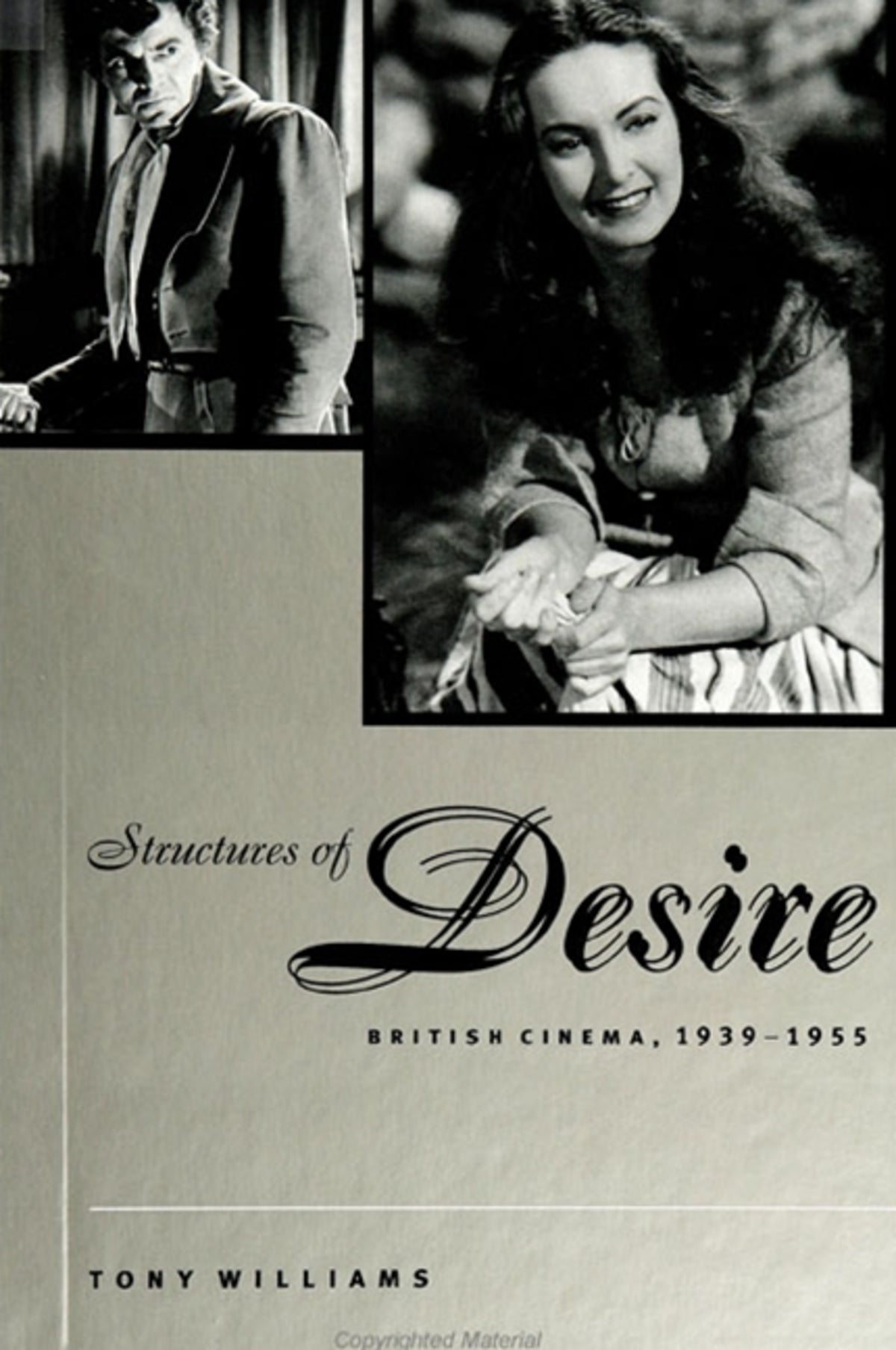 Cover image for Structures of Desire ISBN 9780791446447