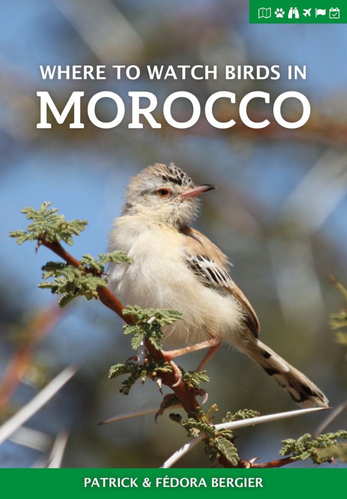 Cover image for Where to Watch Birds in Morocco ISBN 9781784271442