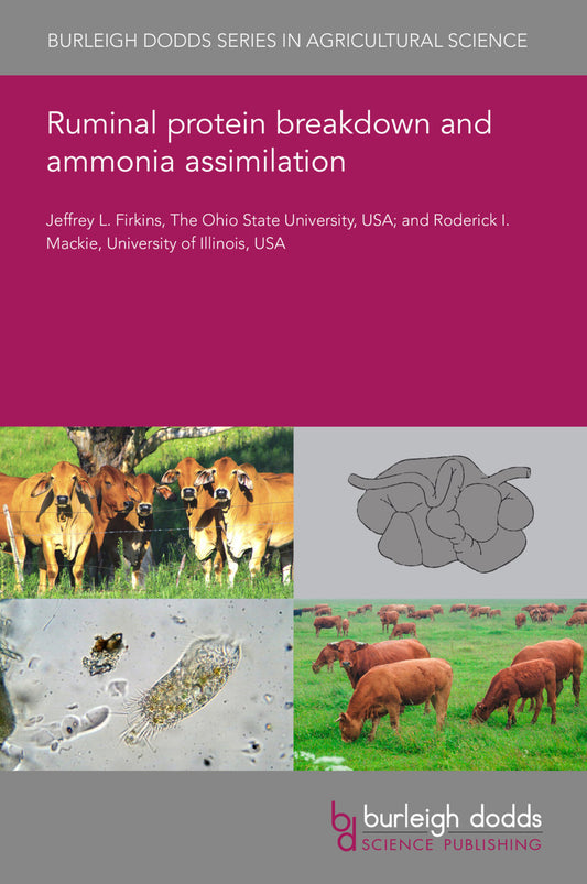Ruminal protein breakdown and ammonia assimilation