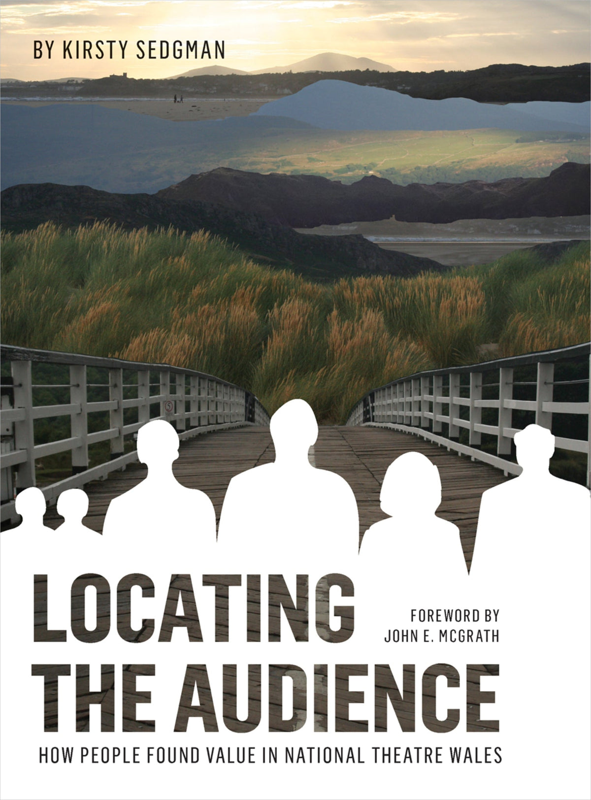 Cover image for Locating the Audience ISBN 9781783205738
