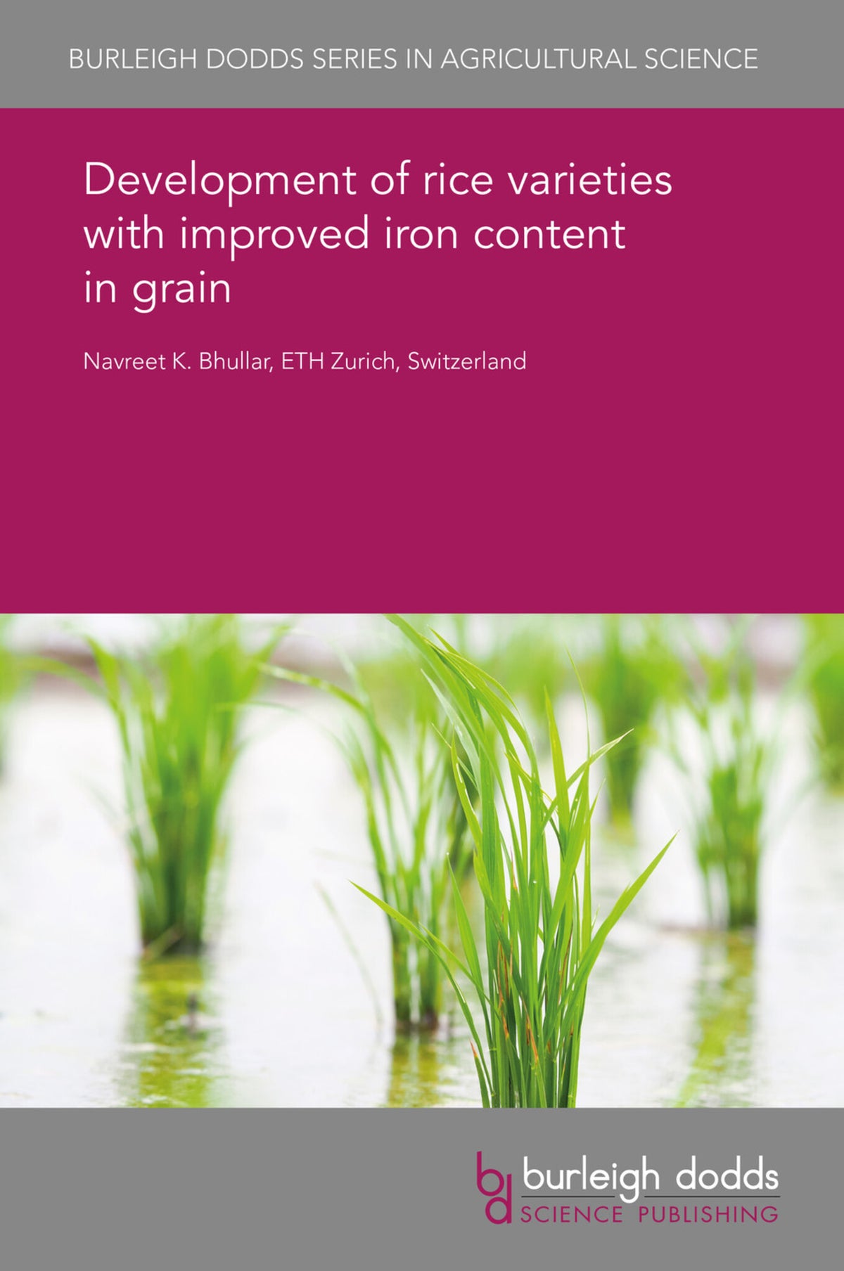 Cover image for Development of rice varieties with improved iron content in grain ISBN 9781838792565