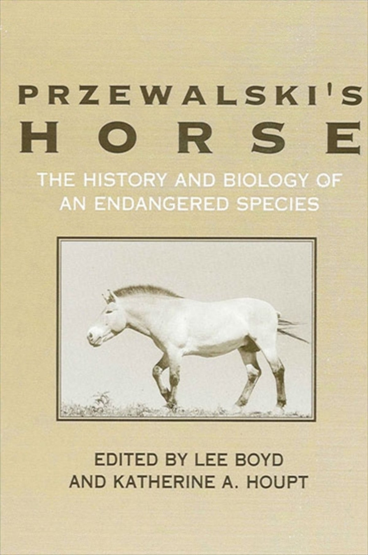 Cover image for Przewalski's Horse ISBN 9780791418901