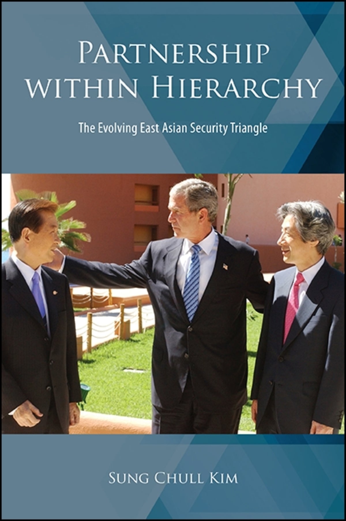 Cover image for Partnership within Hierarchy ISBN 9781438463940