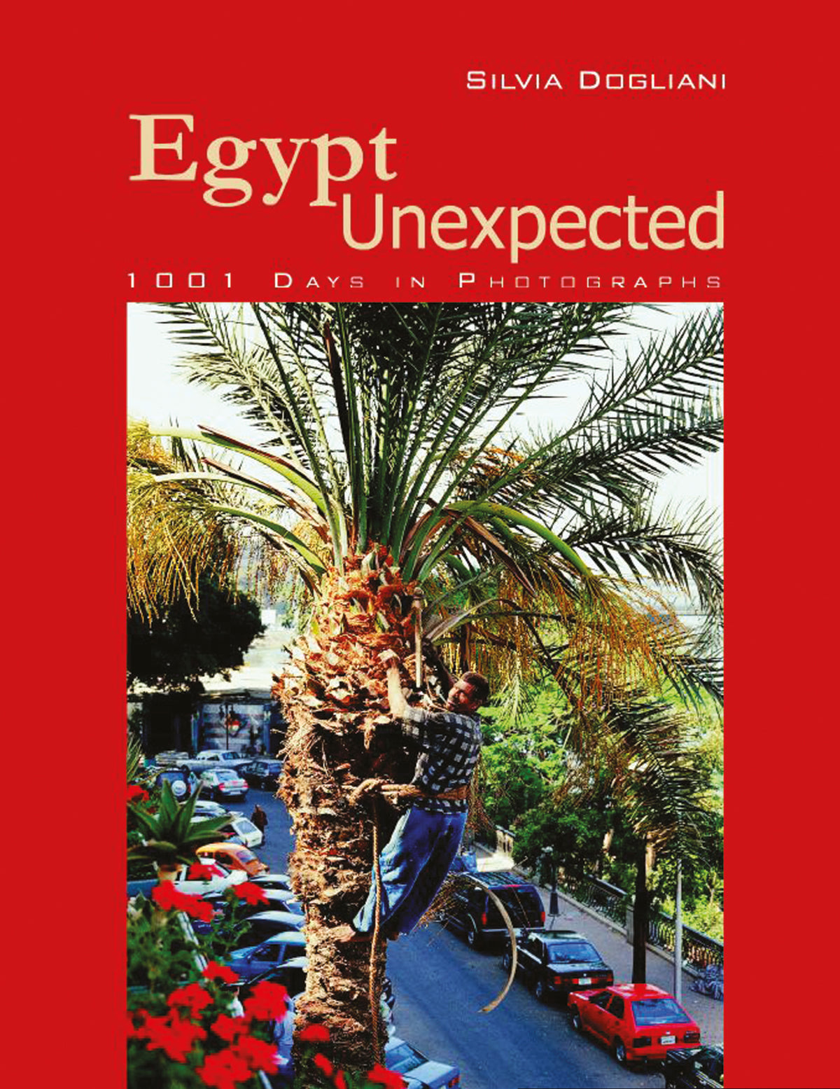 Cover image for Egypt Unexpected ISBN 9789774162626