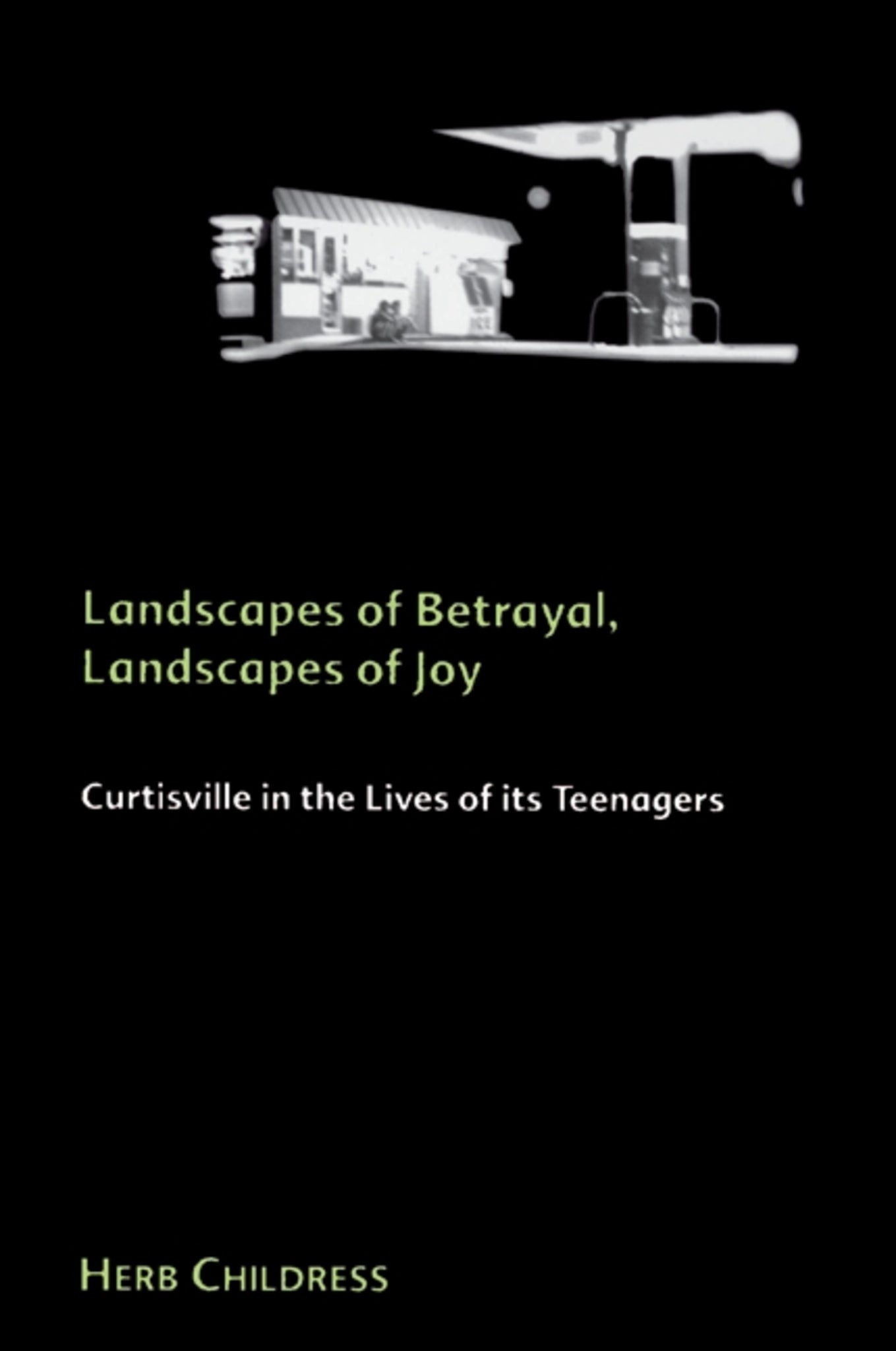 Cover image for Landscapes of Betrayal, Landscapes of Joy ISBN 9780791445785
