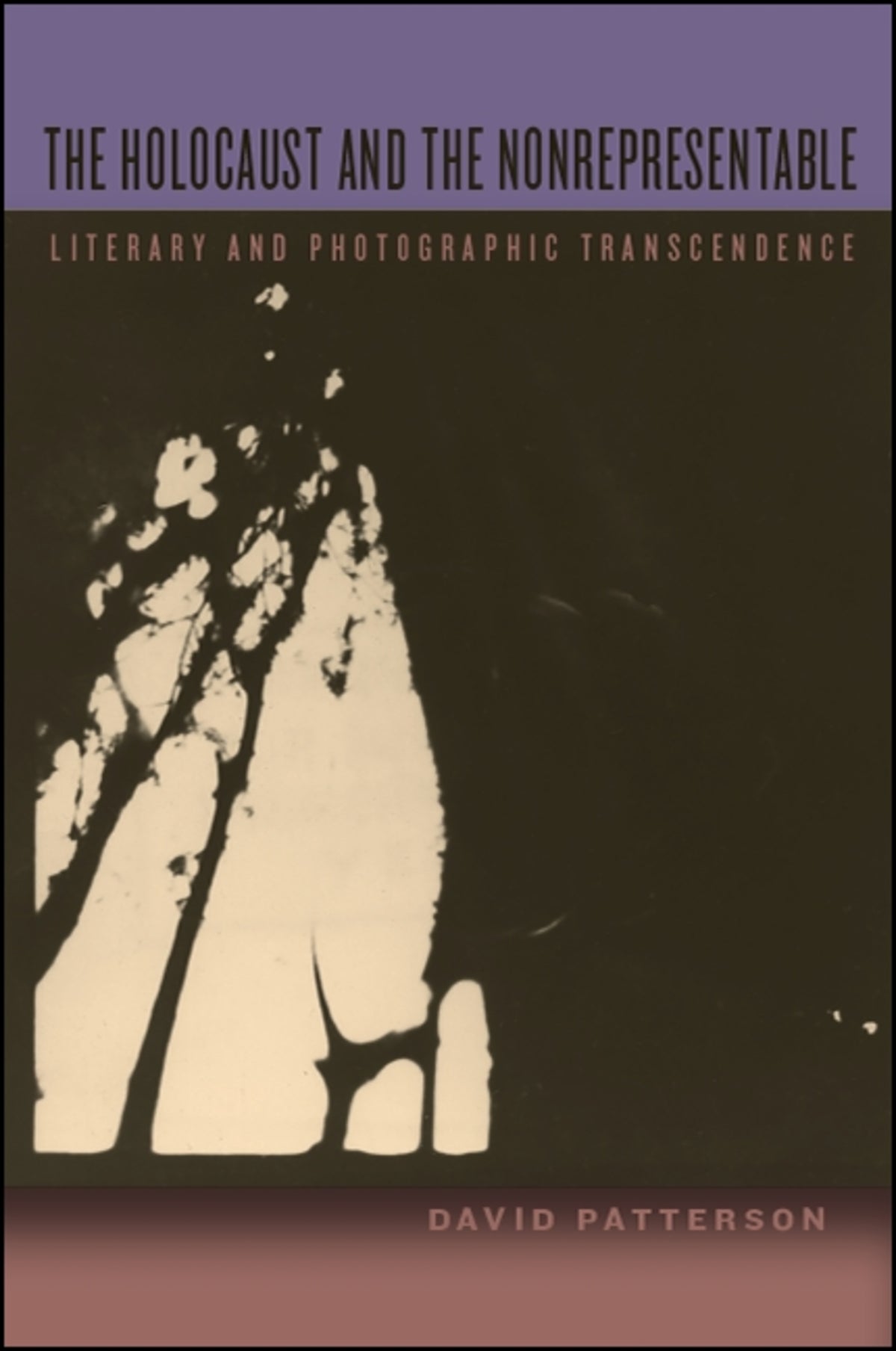 Cover image for The Holocaust and the Nonrepresentable ISBN 9781438470054