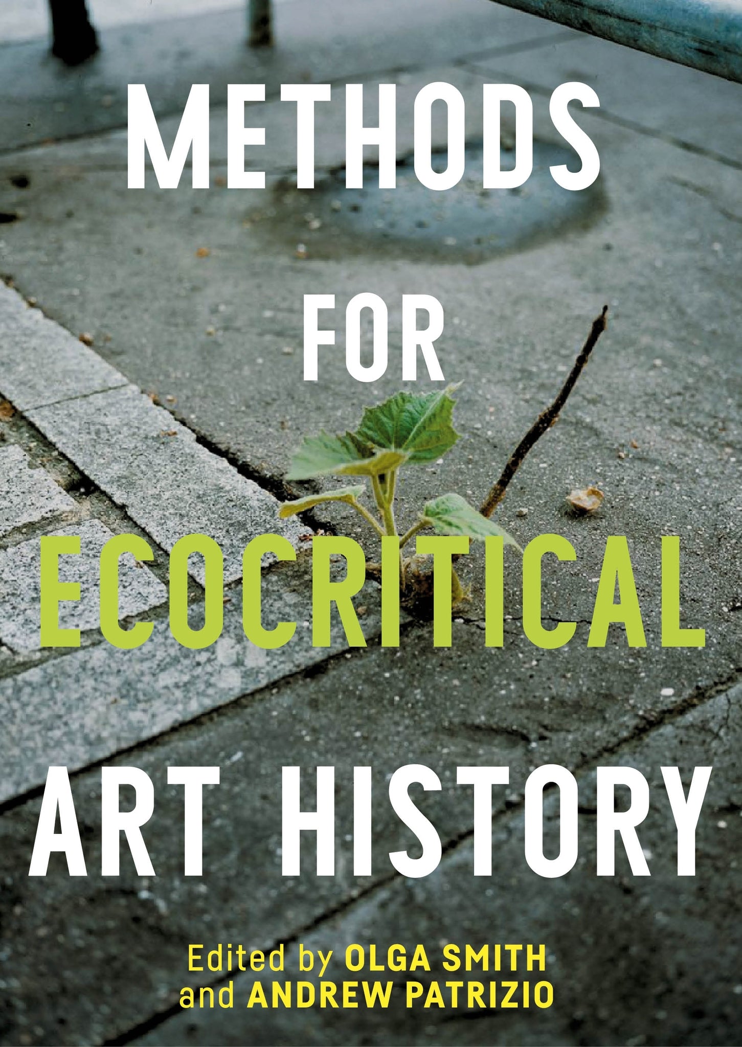 Cover image for Methods for ecocritical art history ISBN 9781526180568