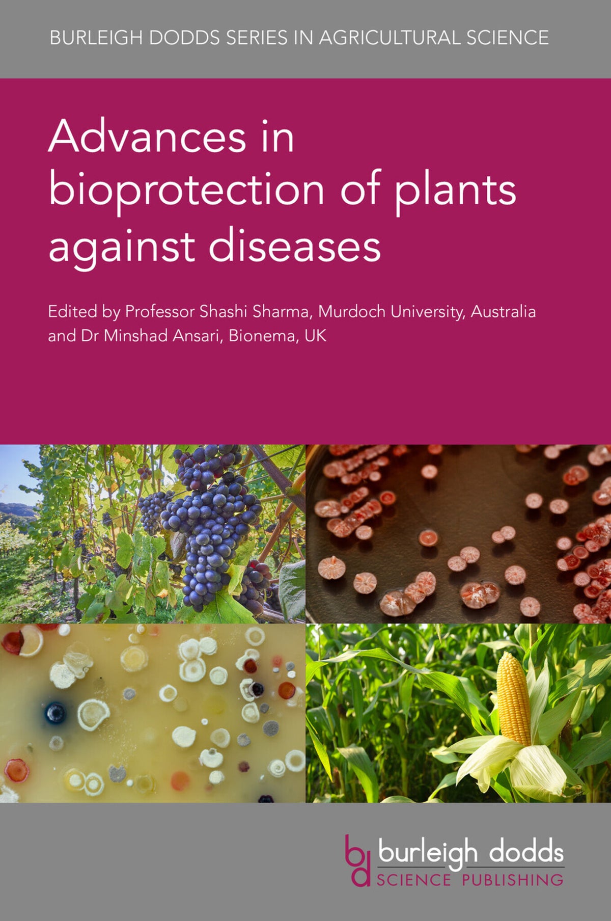 Cover image for Advances in bioprotection of plants against diseases ISBN 9781801467308