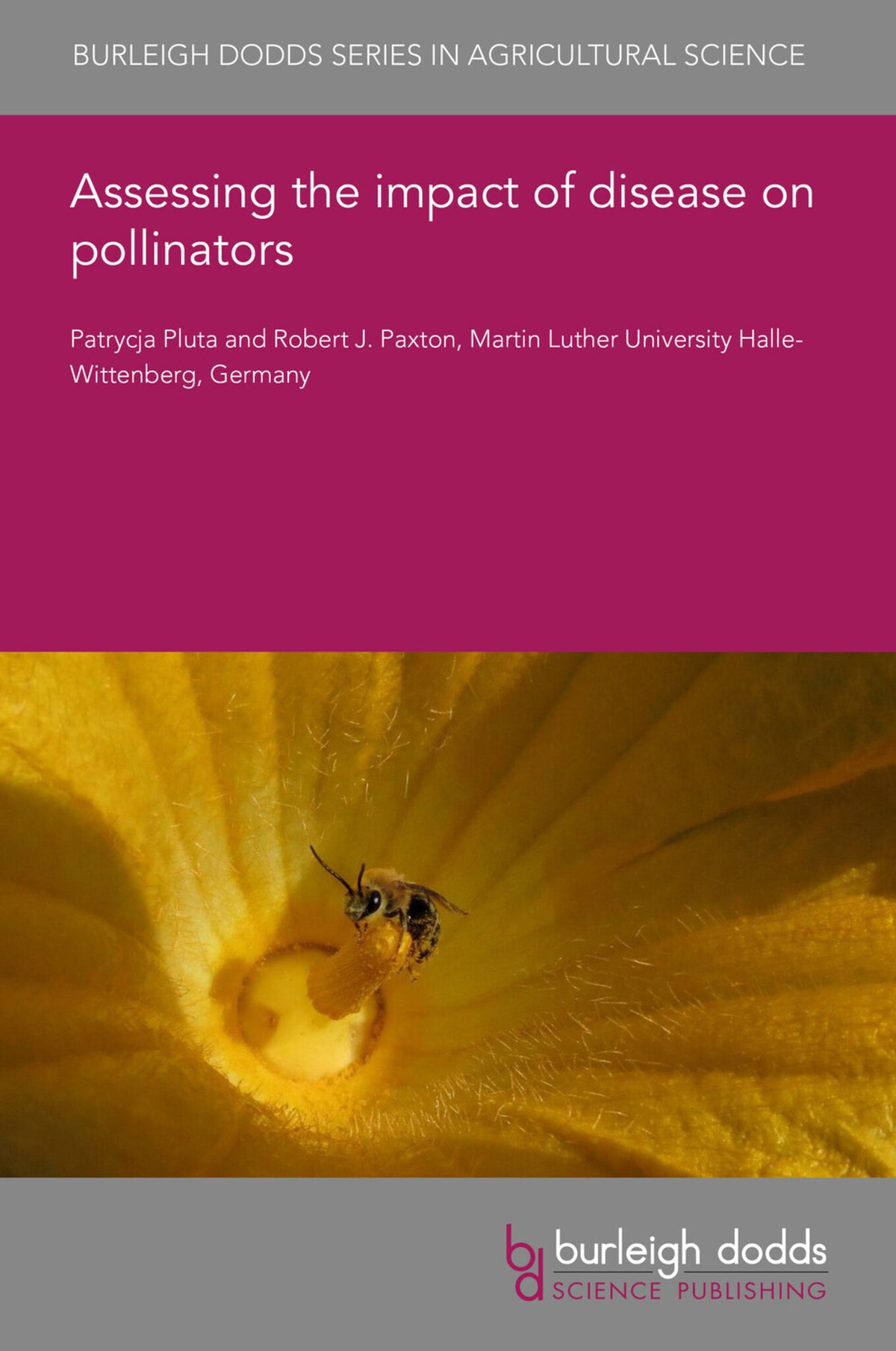 Assessing the impact of disease on pollinators