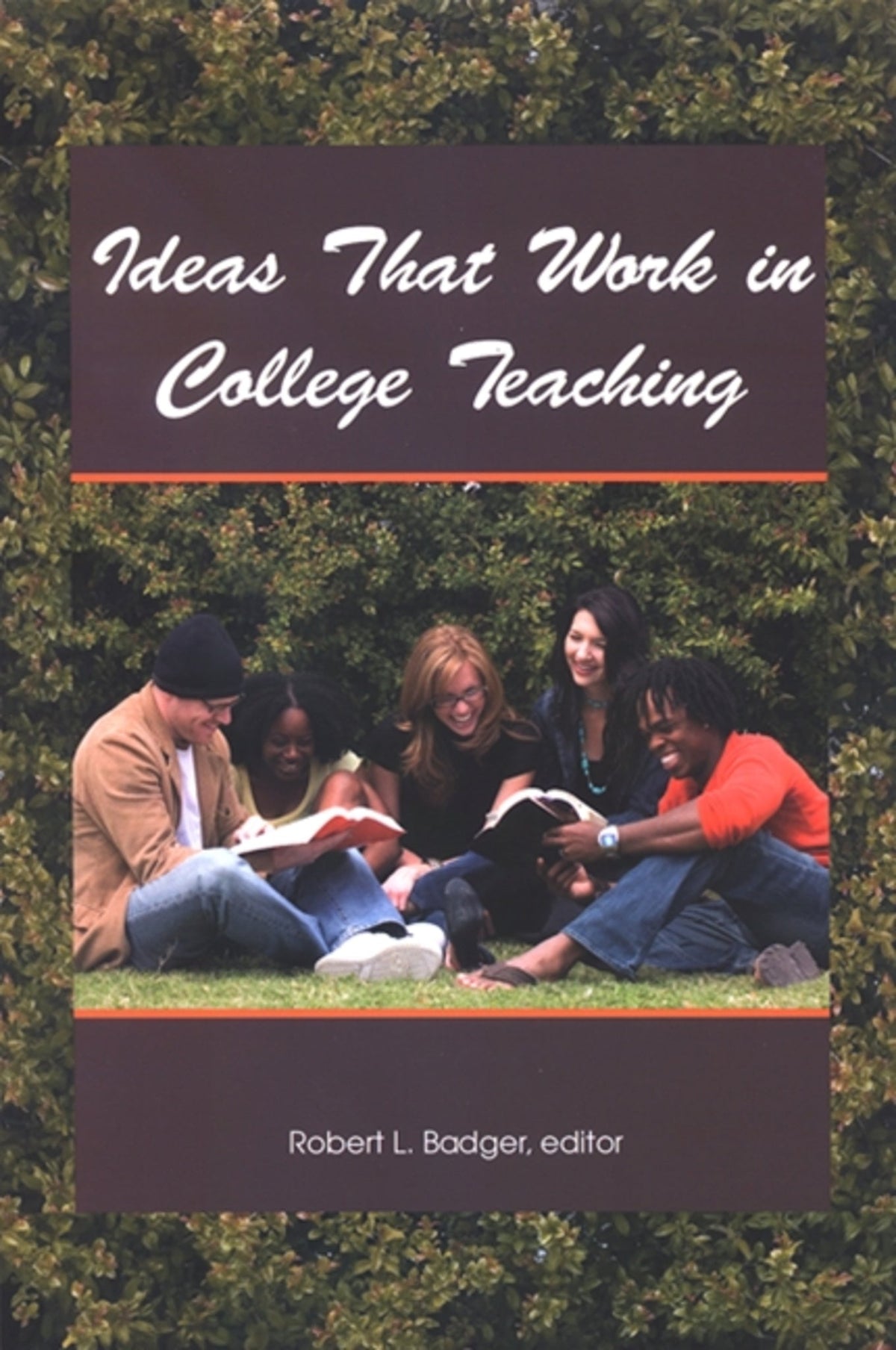 Cover image for Ideas That Work in College Teaching ISBN 9780791479445