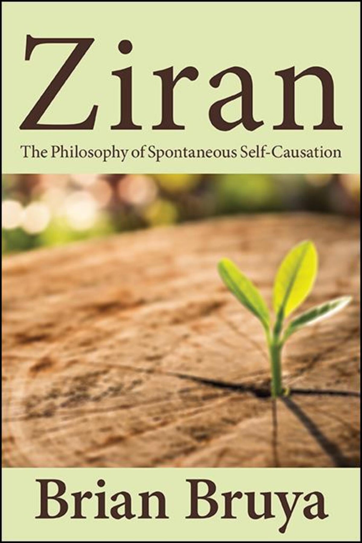 Cover image for Ziran ISBN 9781438488318