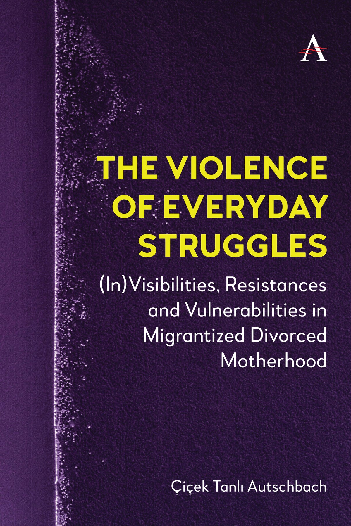 Cover image for The Violence of Everyday Struggles ISBN 9781839995873