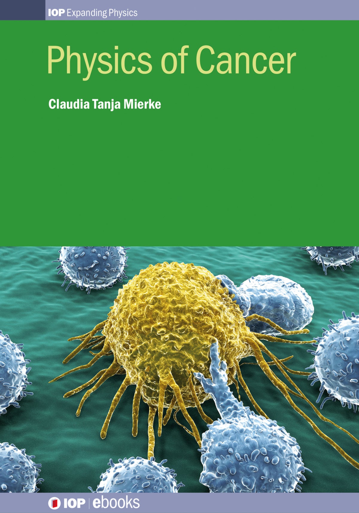 Cover image for Physics of Cancer ISBN 9780750311359