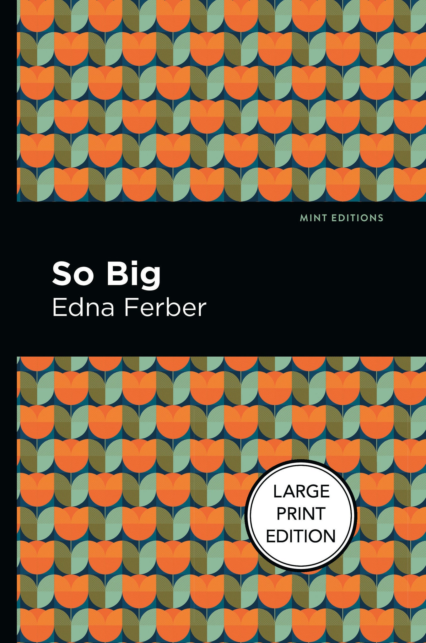 Cover image for So Big ISBN 9781513137469