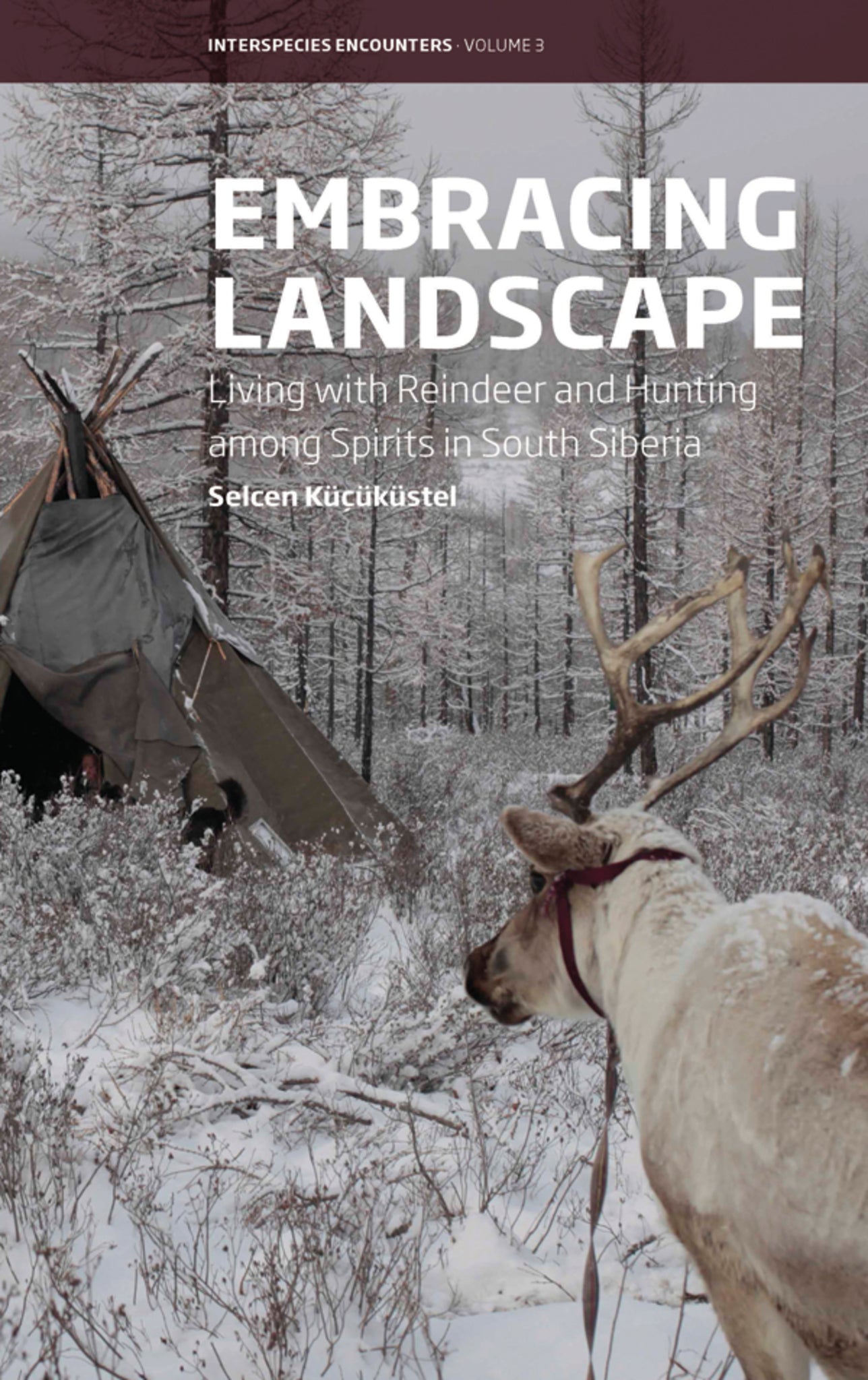 Embracing Landscape