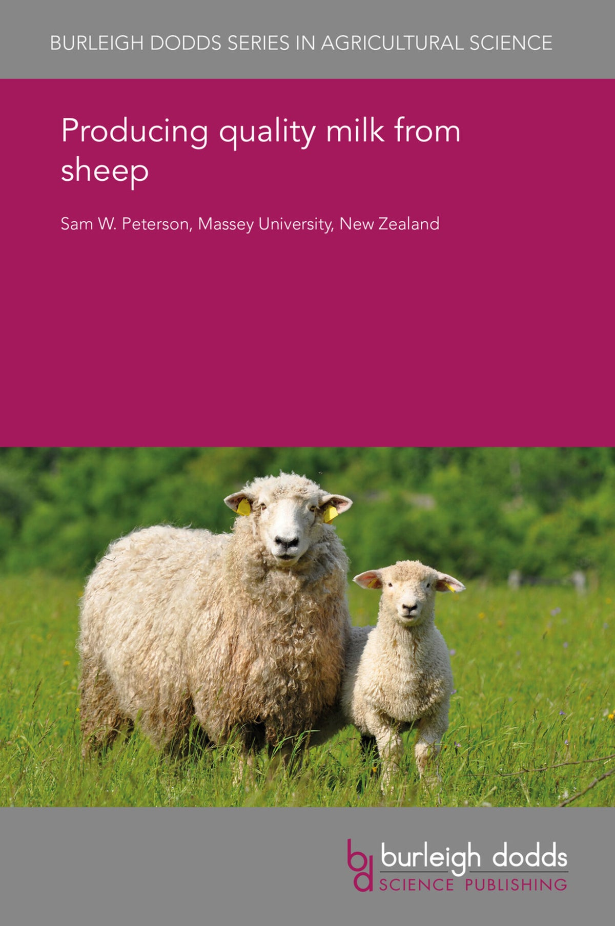 Producing quality milk from sheep