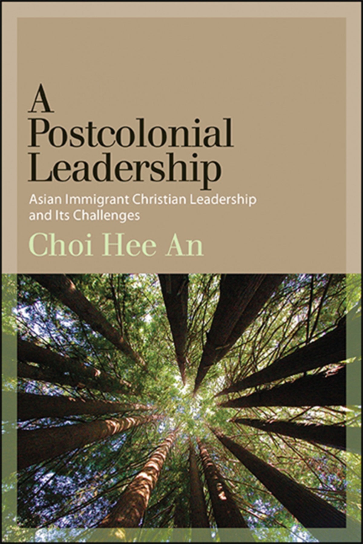 Cover image for A Postcolonial Leadership ISBN 9781438477480