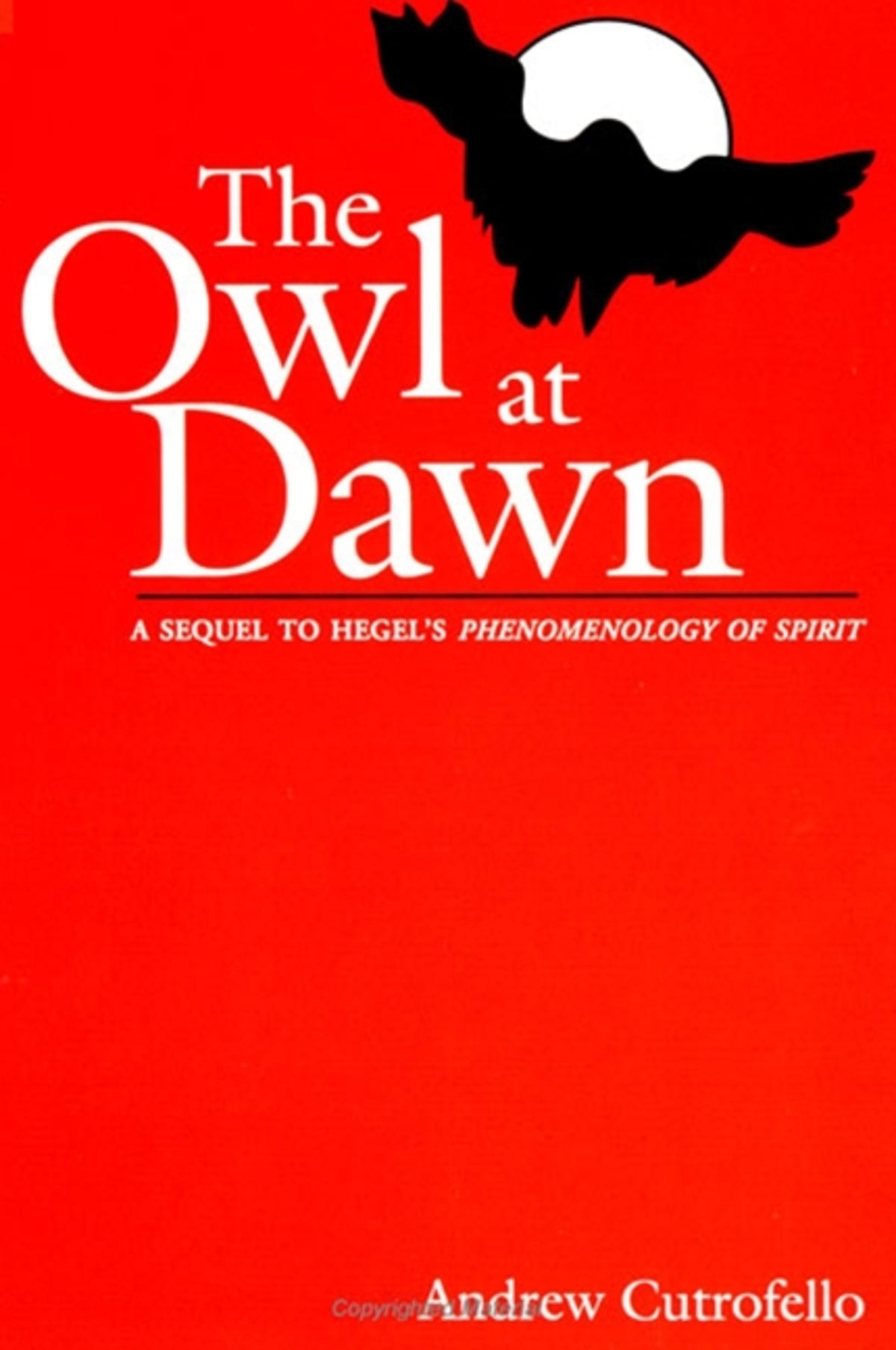 Cover image for The Owl at Dawn ISBN 9780791425848