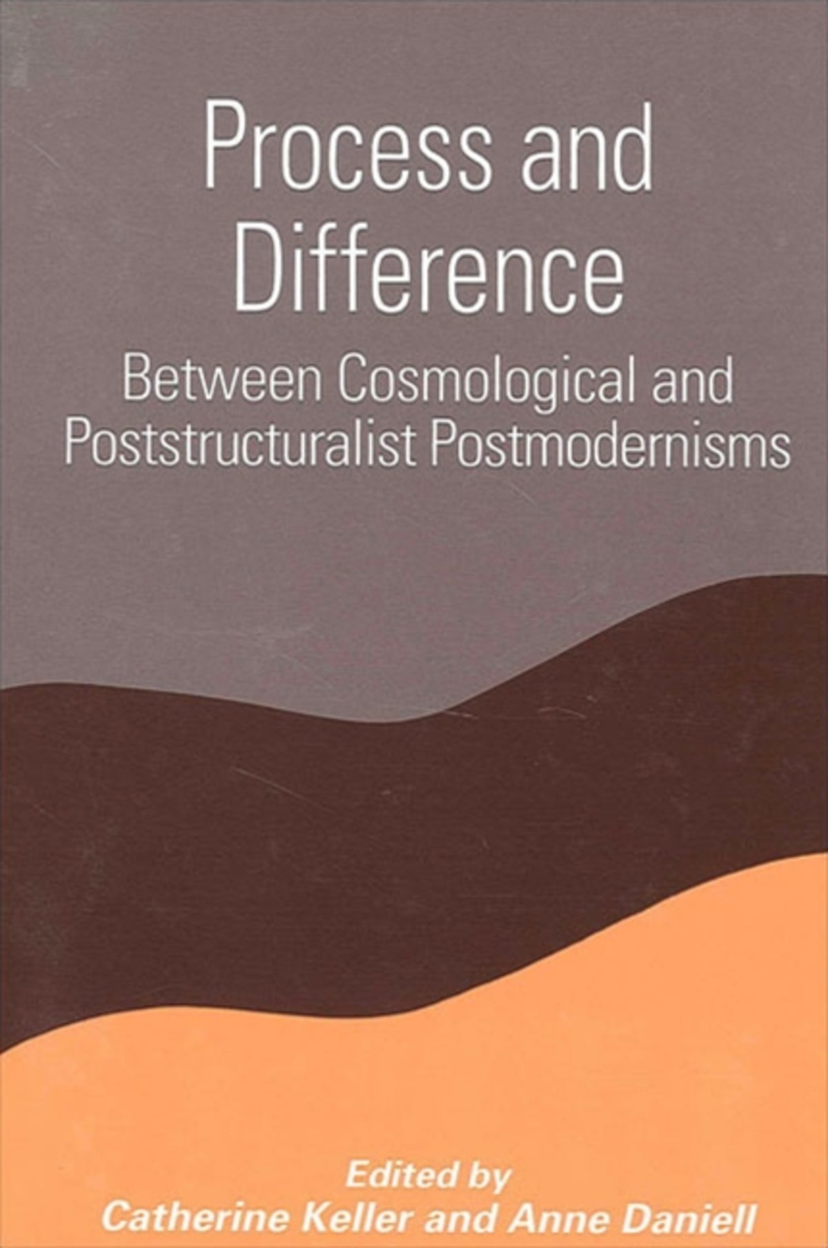 Cover image for Process and Difference ISBN 9780791452882