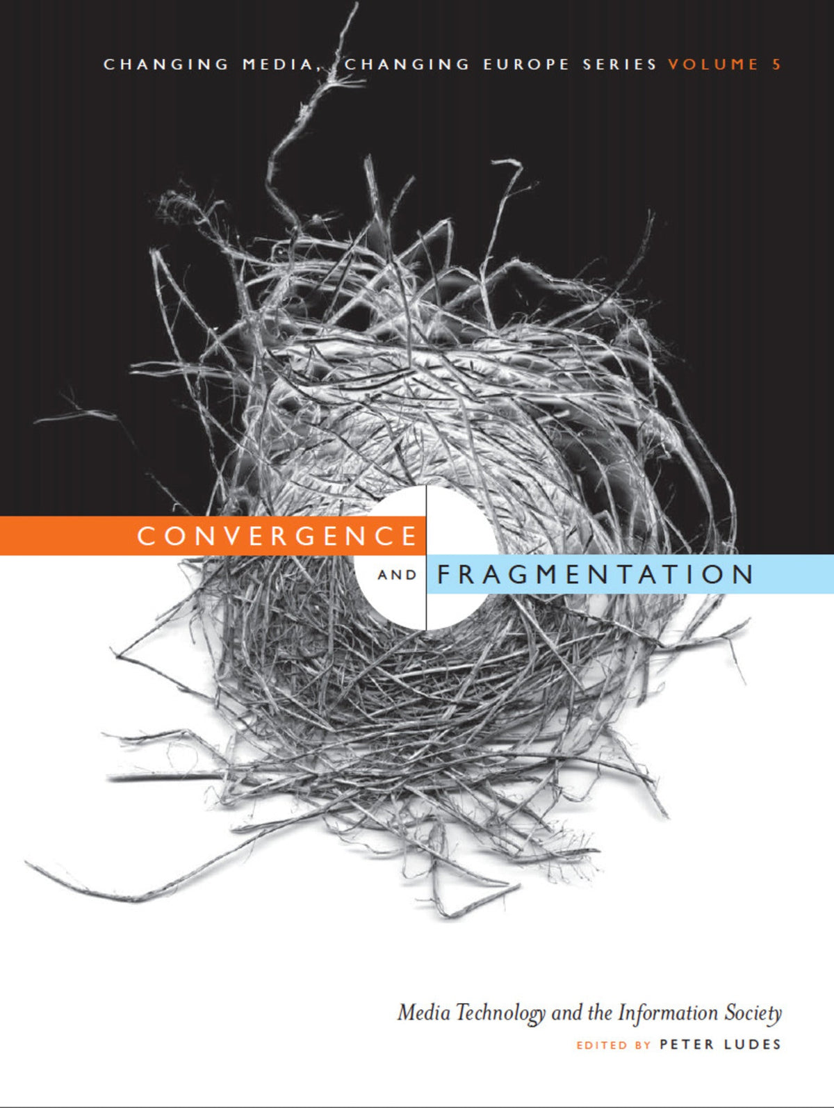 Cover image for Convergence and Fragmentation ISBN 9781841502168