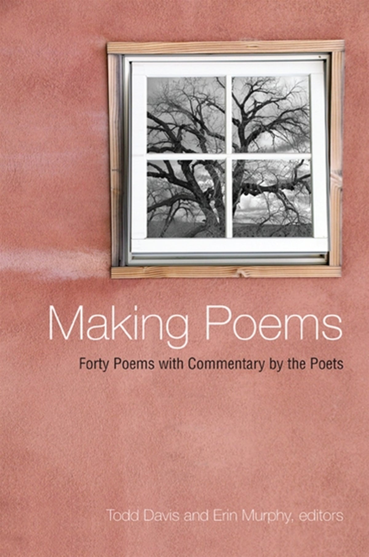 Cover image for Making Poems ISBN 9781438431765
