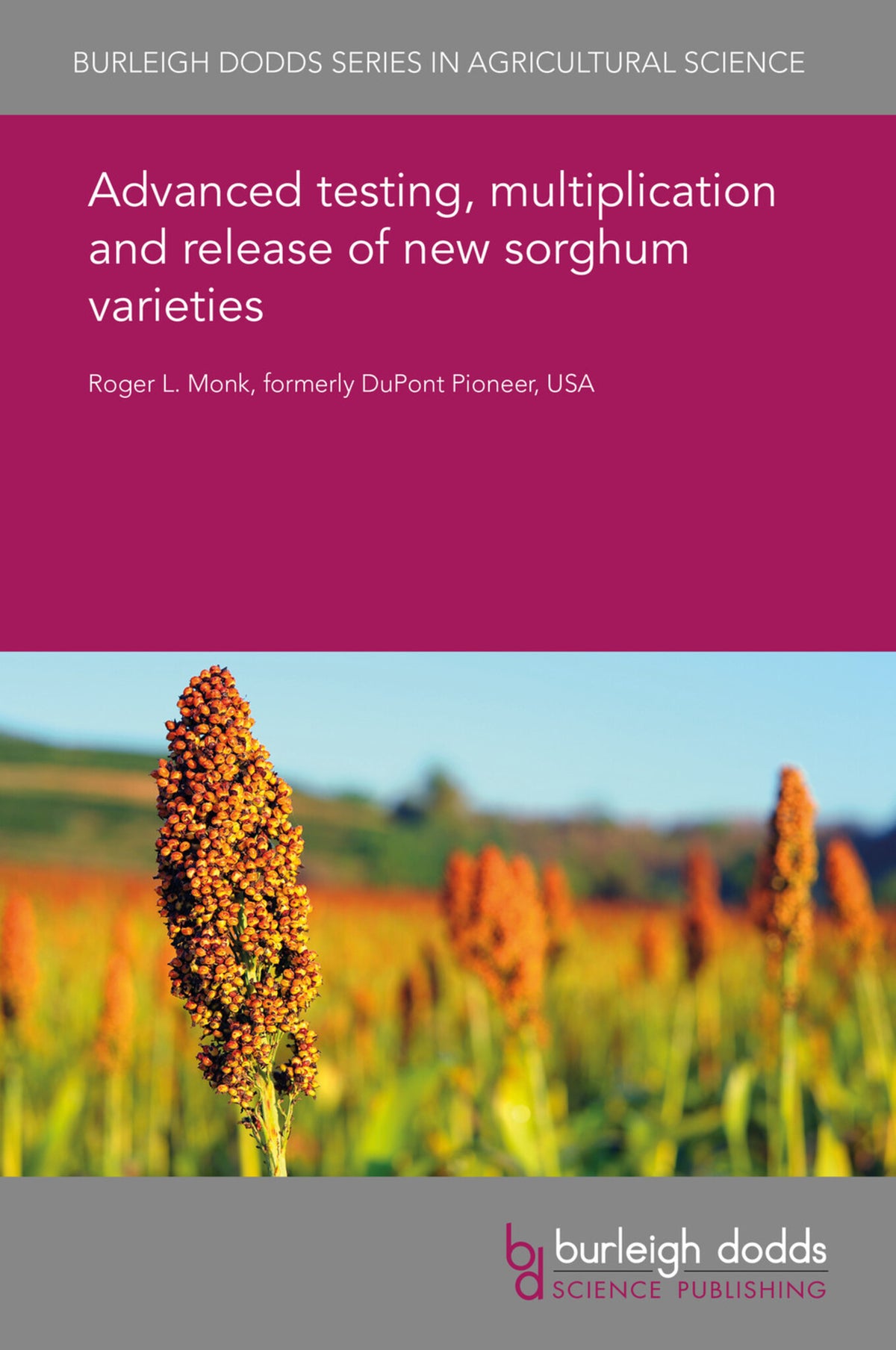 Advanced testing, multiplication and release of new sorghum varieties