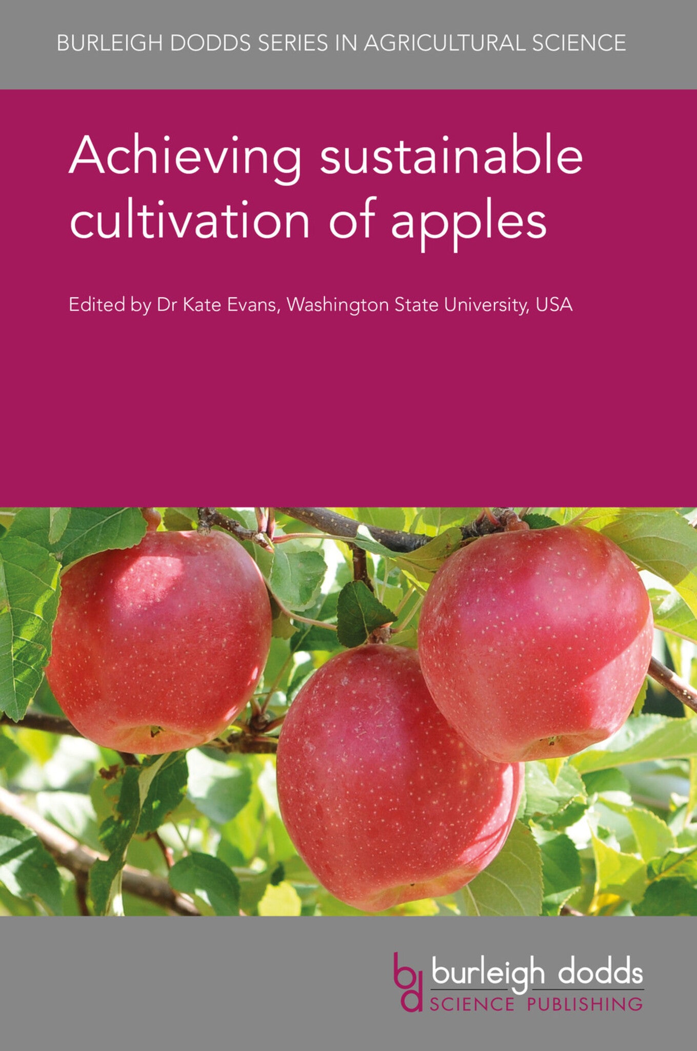 Book cover of 'Achieving sustainable cultivation of apples' with apples on a branch and Burleigh Dodds logo.