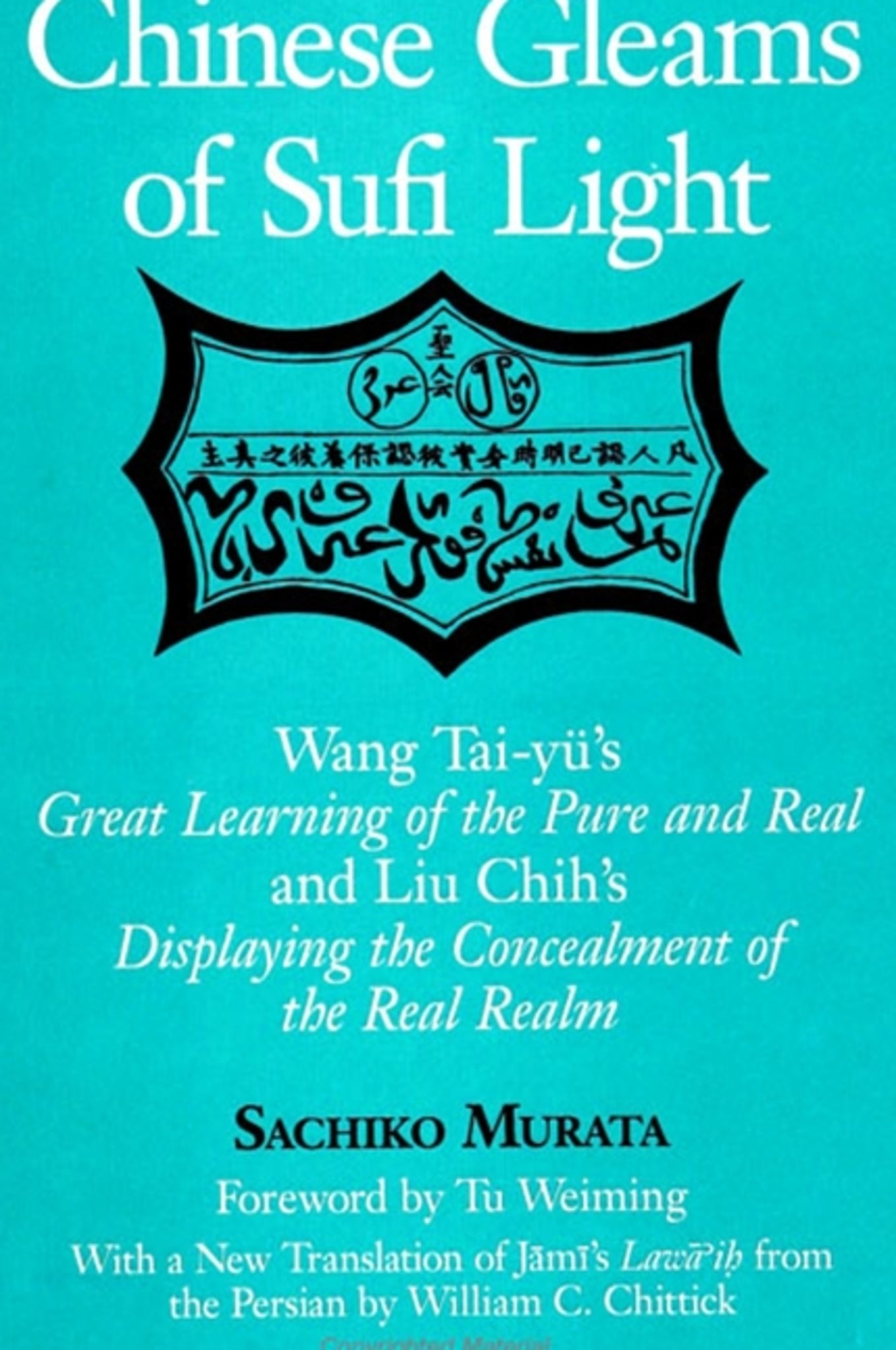 Chinese Gleams of Sufi Light