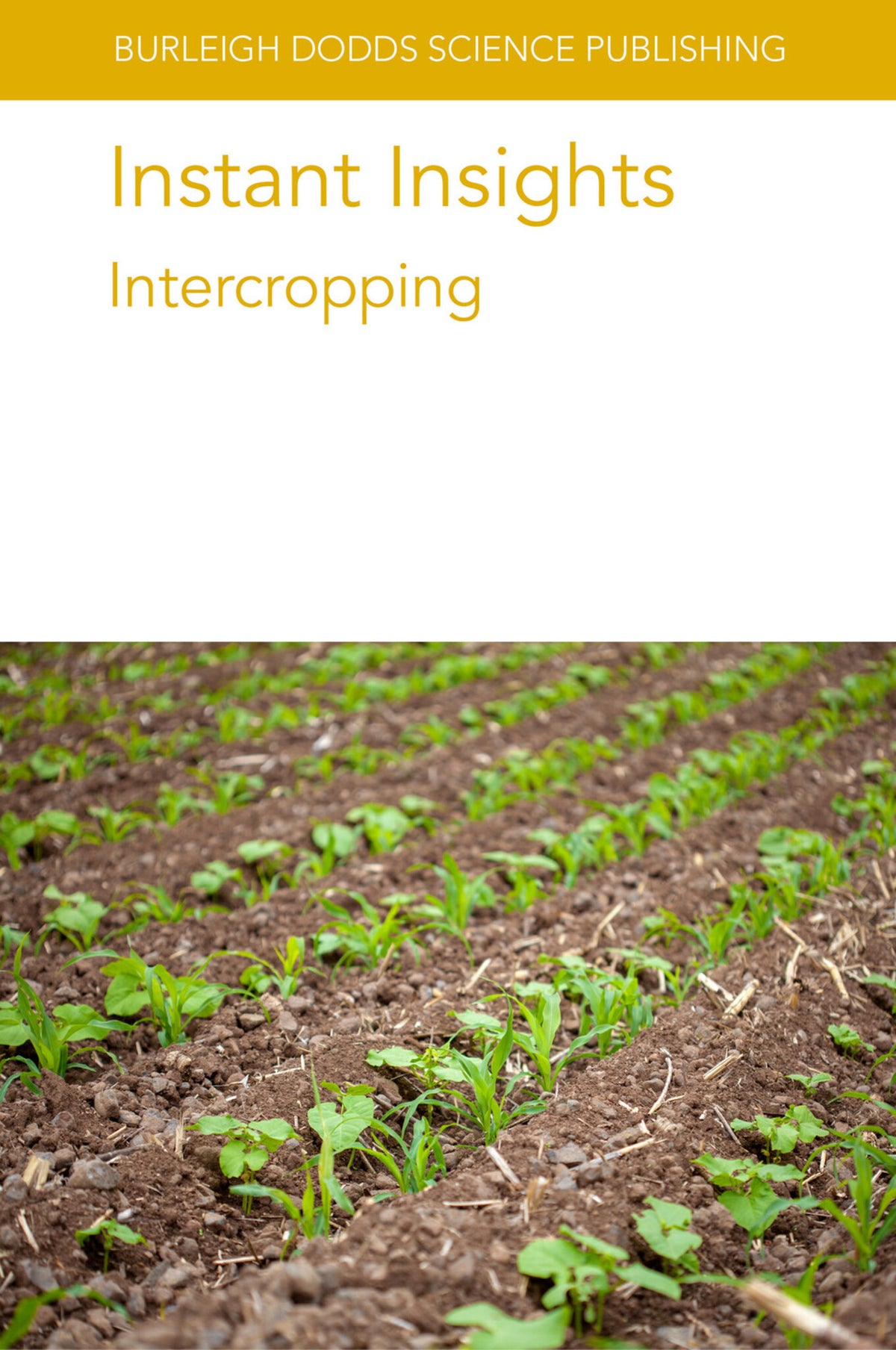 Cover image for Instant Insights: Intercropping ISBN 9781801464925