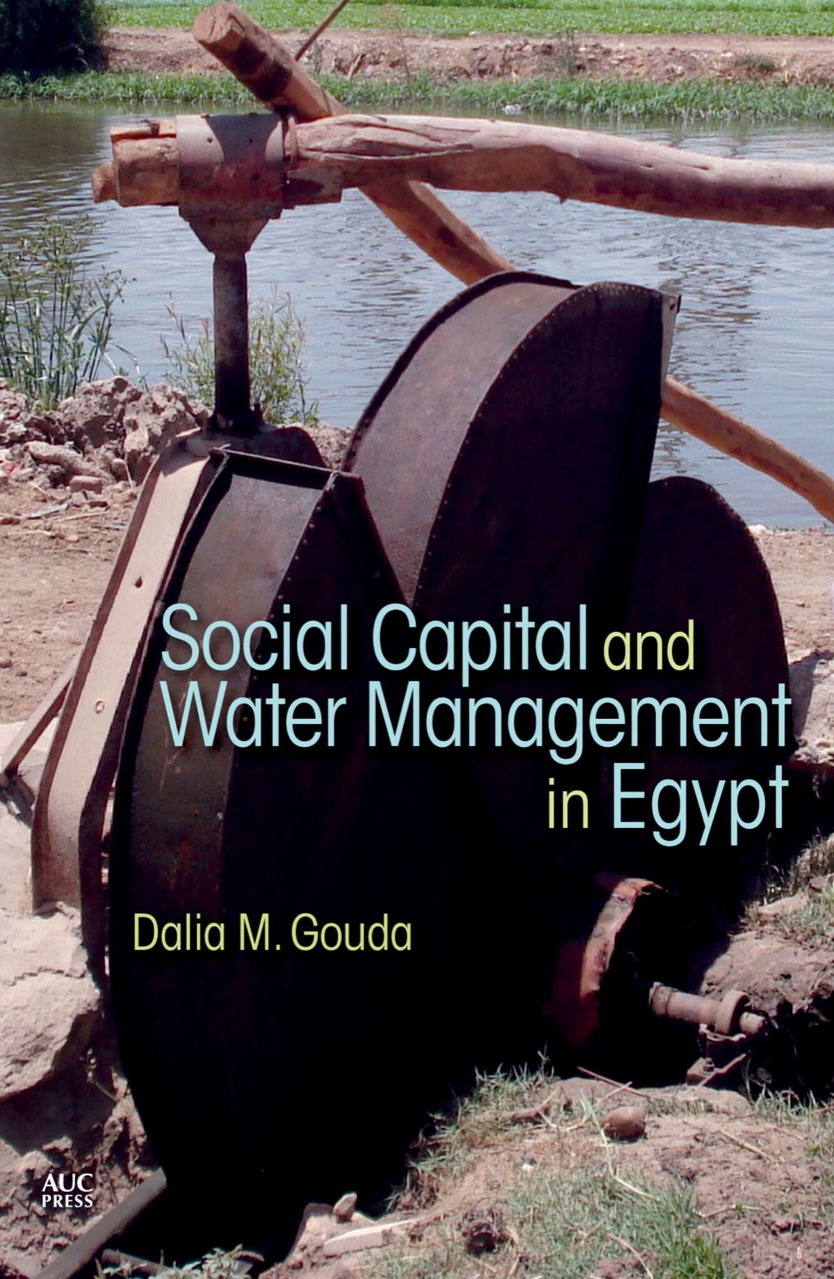 Cover image for Social Capital and Local Water Management in Egypt ISBN 9789774167638