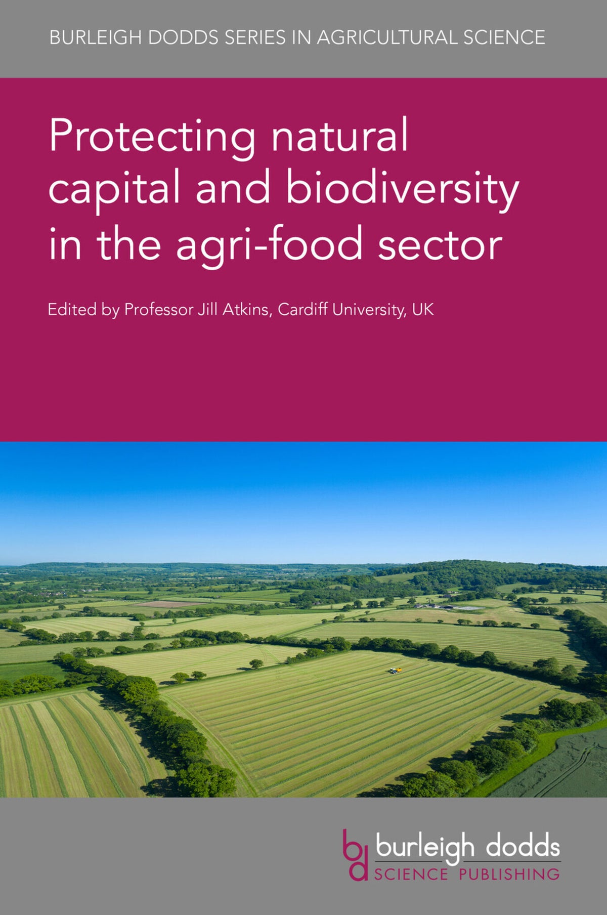 Cover image for Protecting natural capital and biodiversity in the agri-food sector ISBN 9781801463539