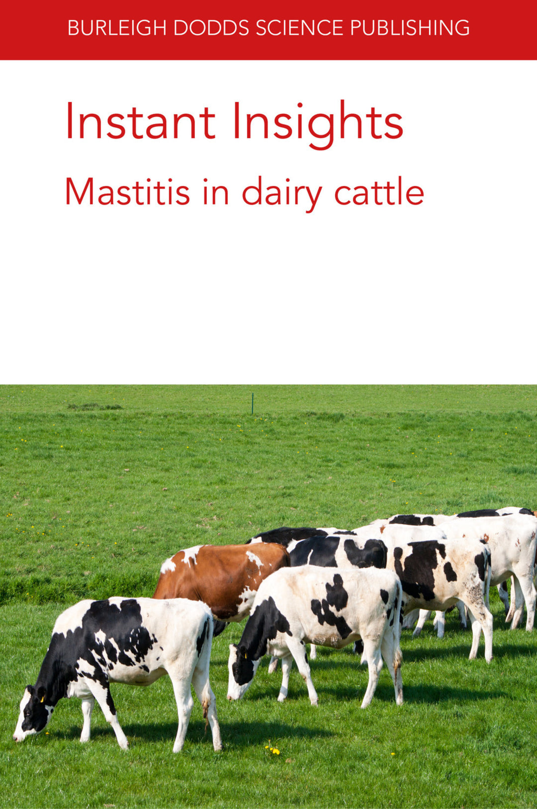 Cover image for Instant Insights: Mastitis in dairy cattle ISBN 9781786769299