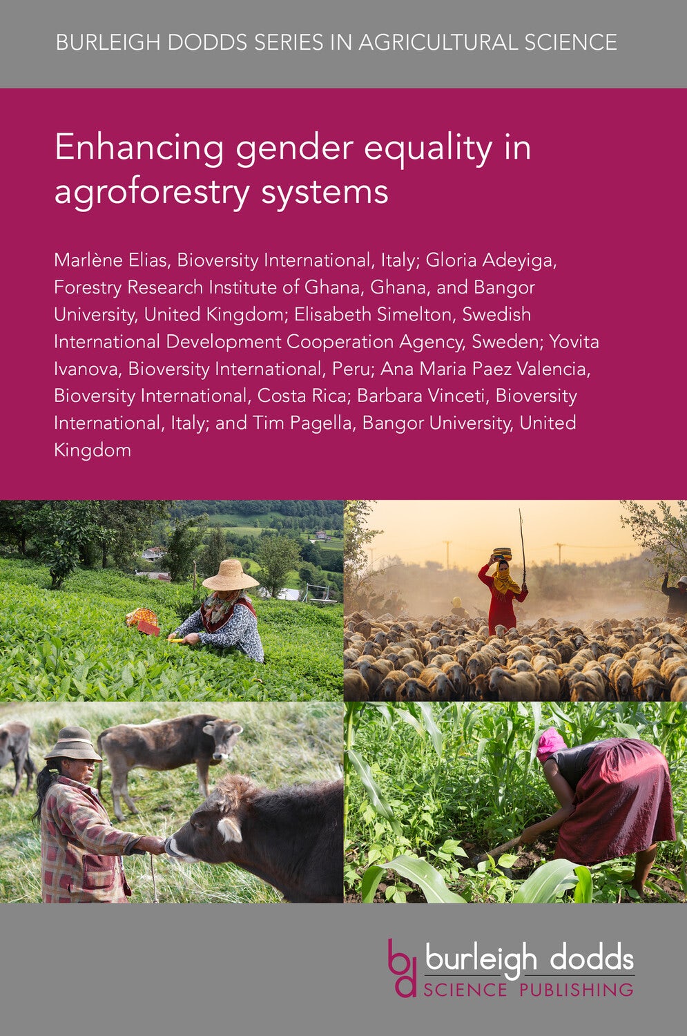 Enhancing gender equality in agroforestry systems